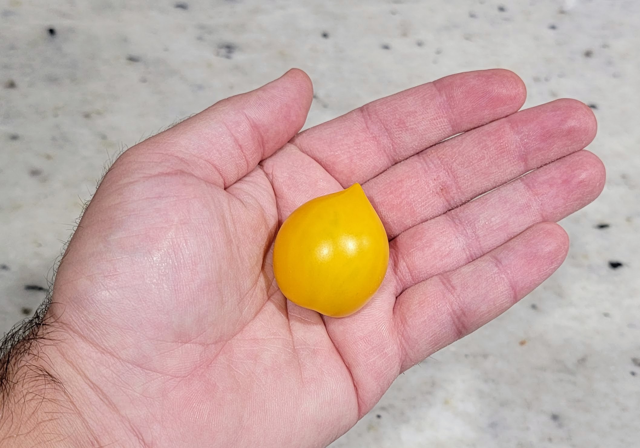 Lil' Peeps Micro Dwarf Tomato
