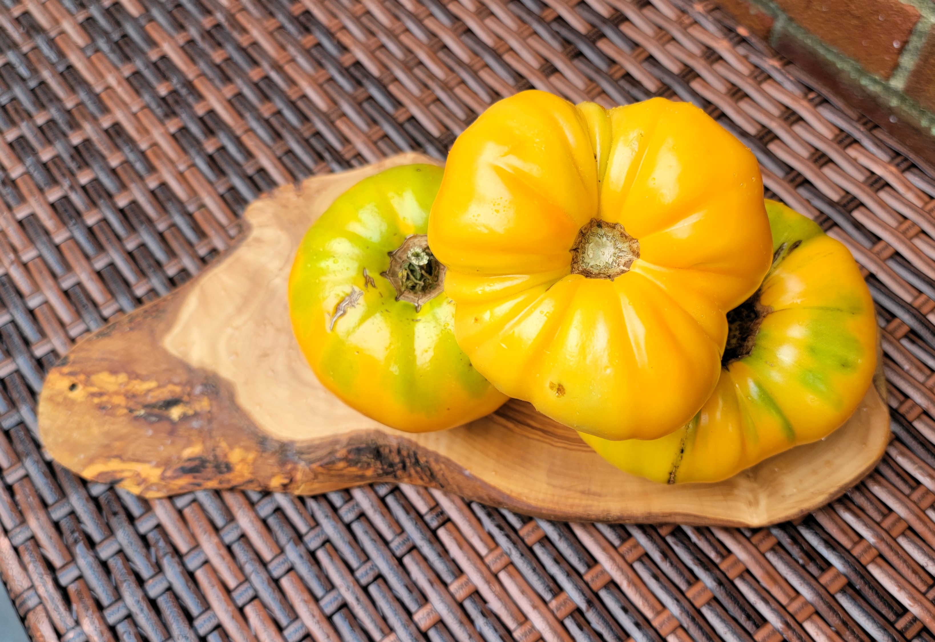 Mary Reynolds Tomato