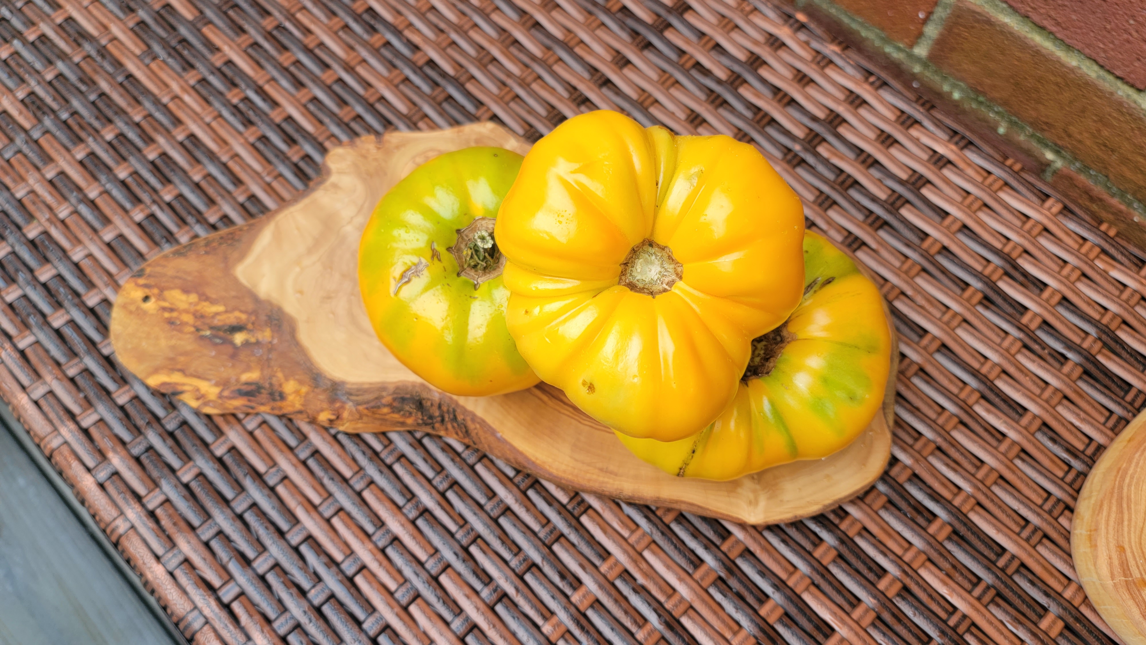 Mary Reynolds Tomato