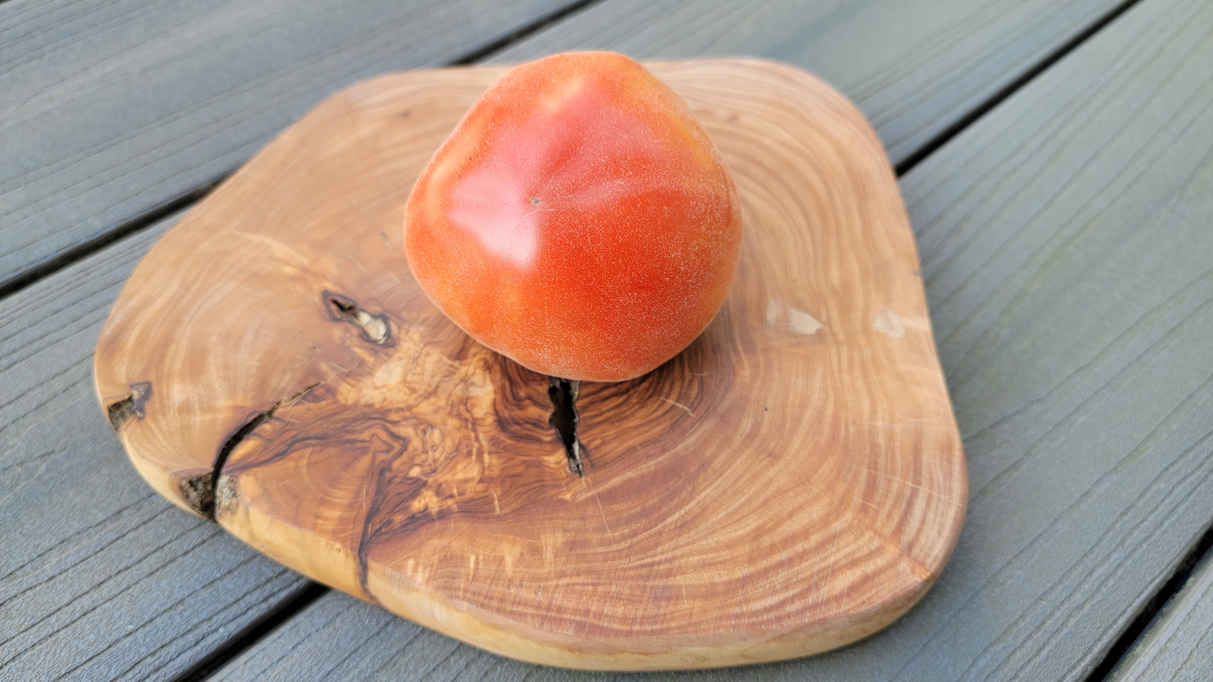 Scheherazade Tomato