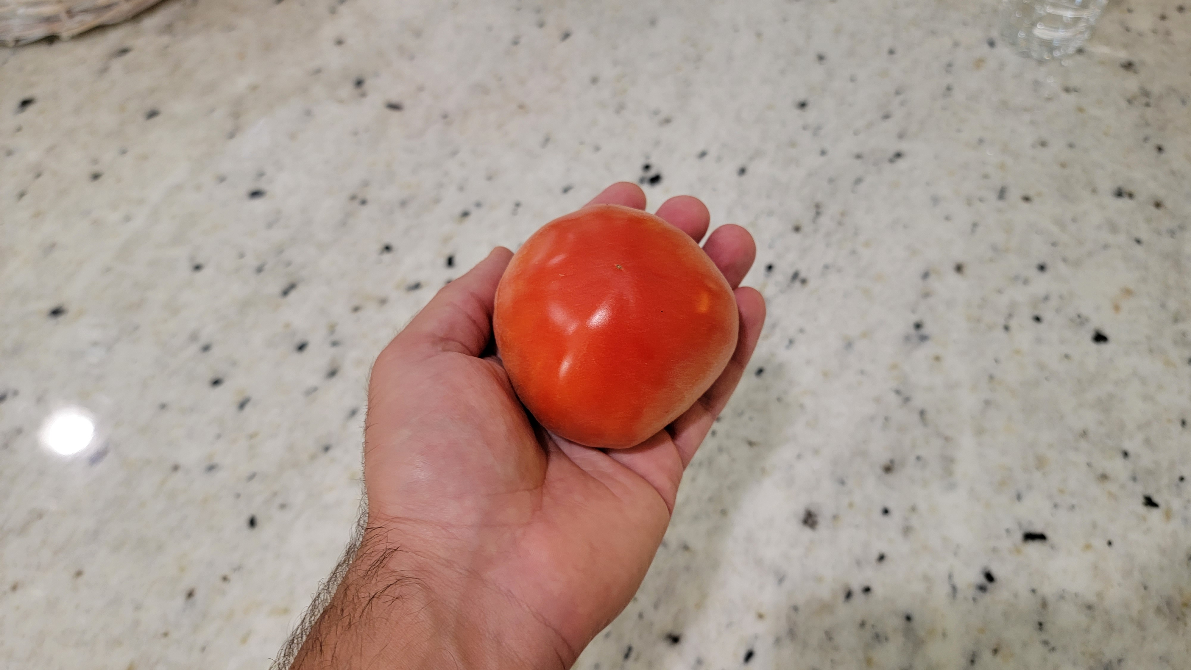 Scheherazade Tomato