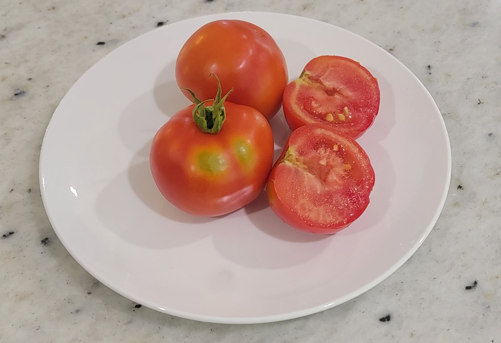Splash of Cream Tomato (Variegated)