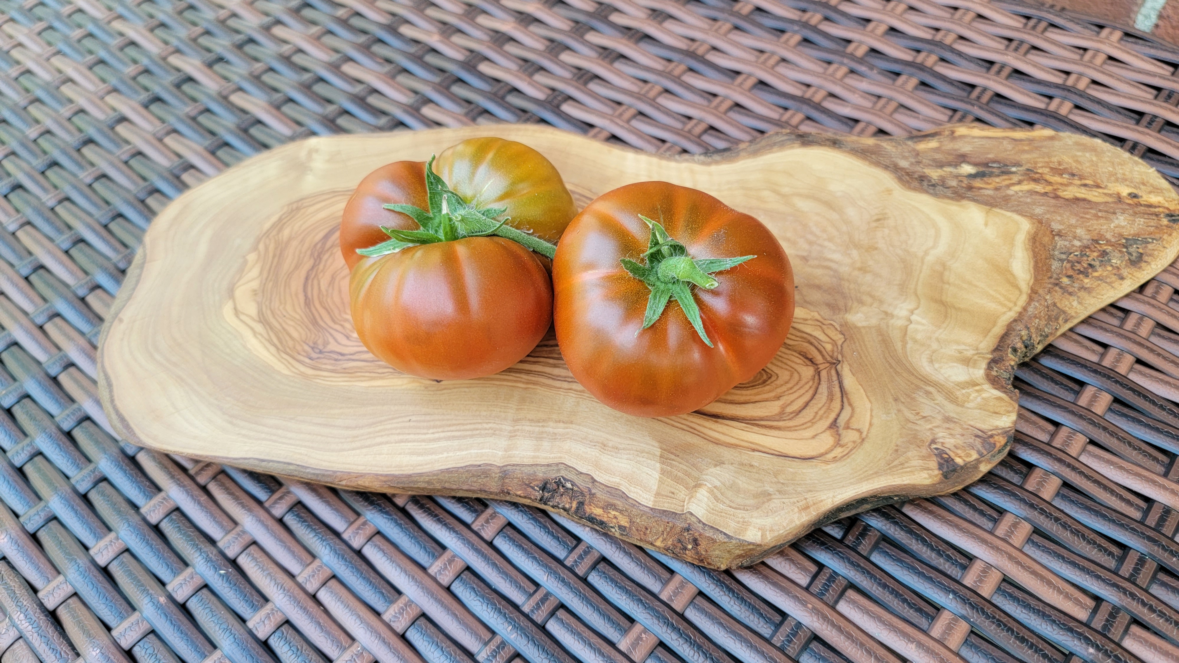 Tasmanian Chocolate Dwarf Tomato