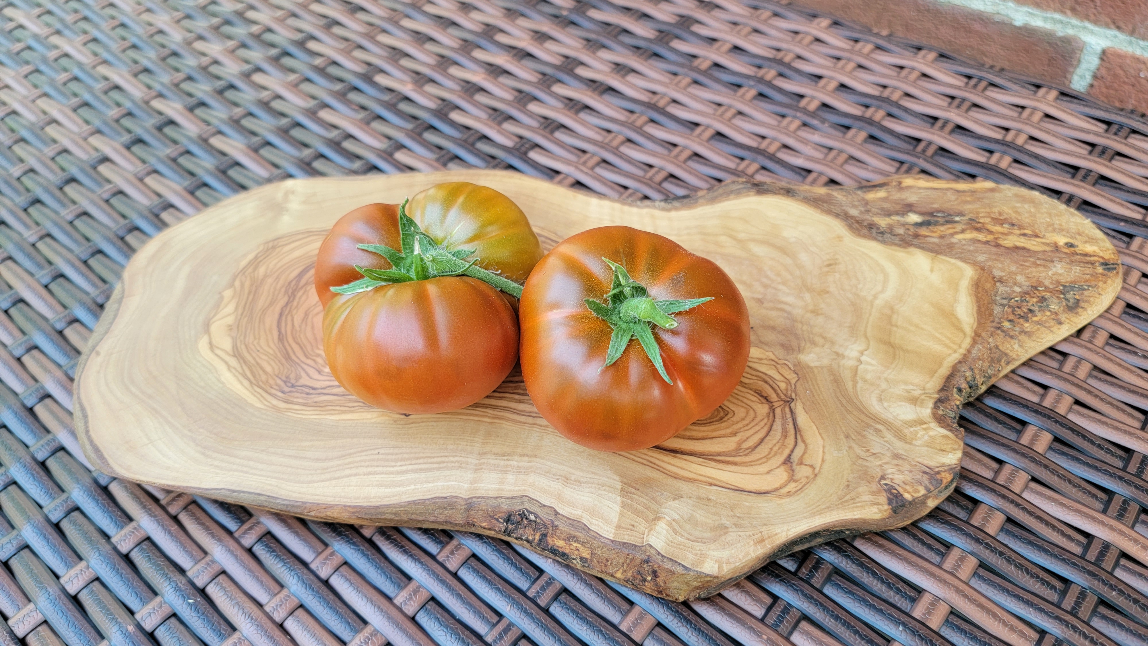Tasmanian Chocolate Dwarf Tomato
