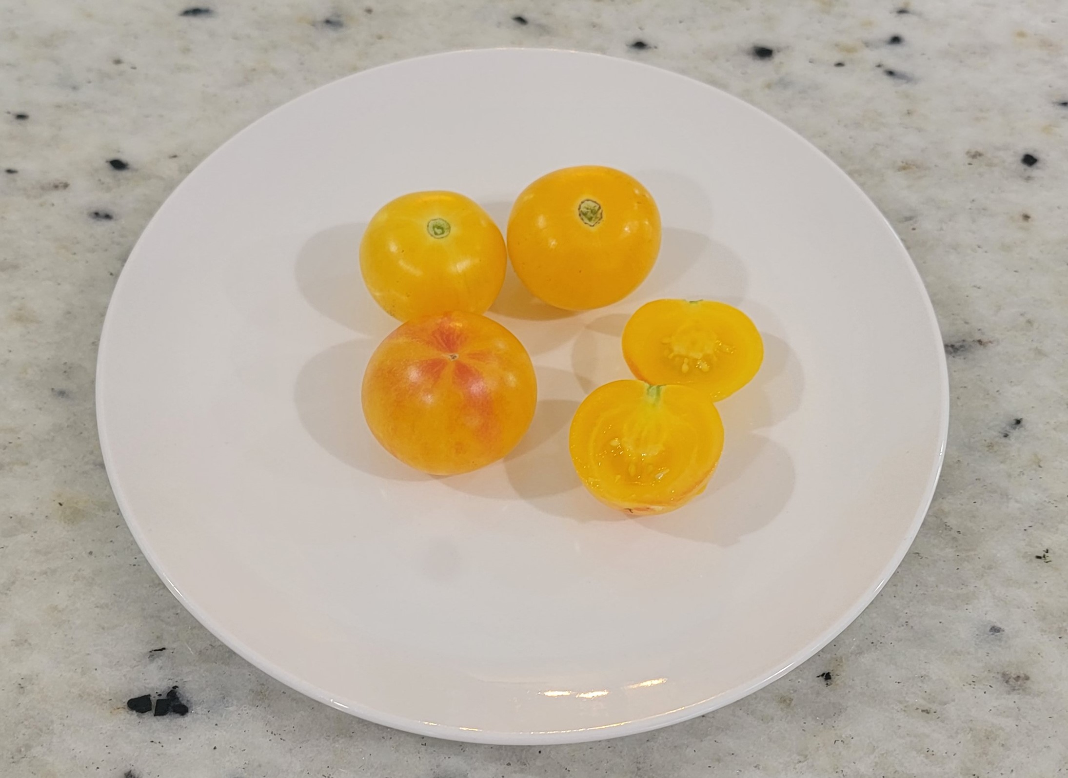 Tropical Sunset Tomato