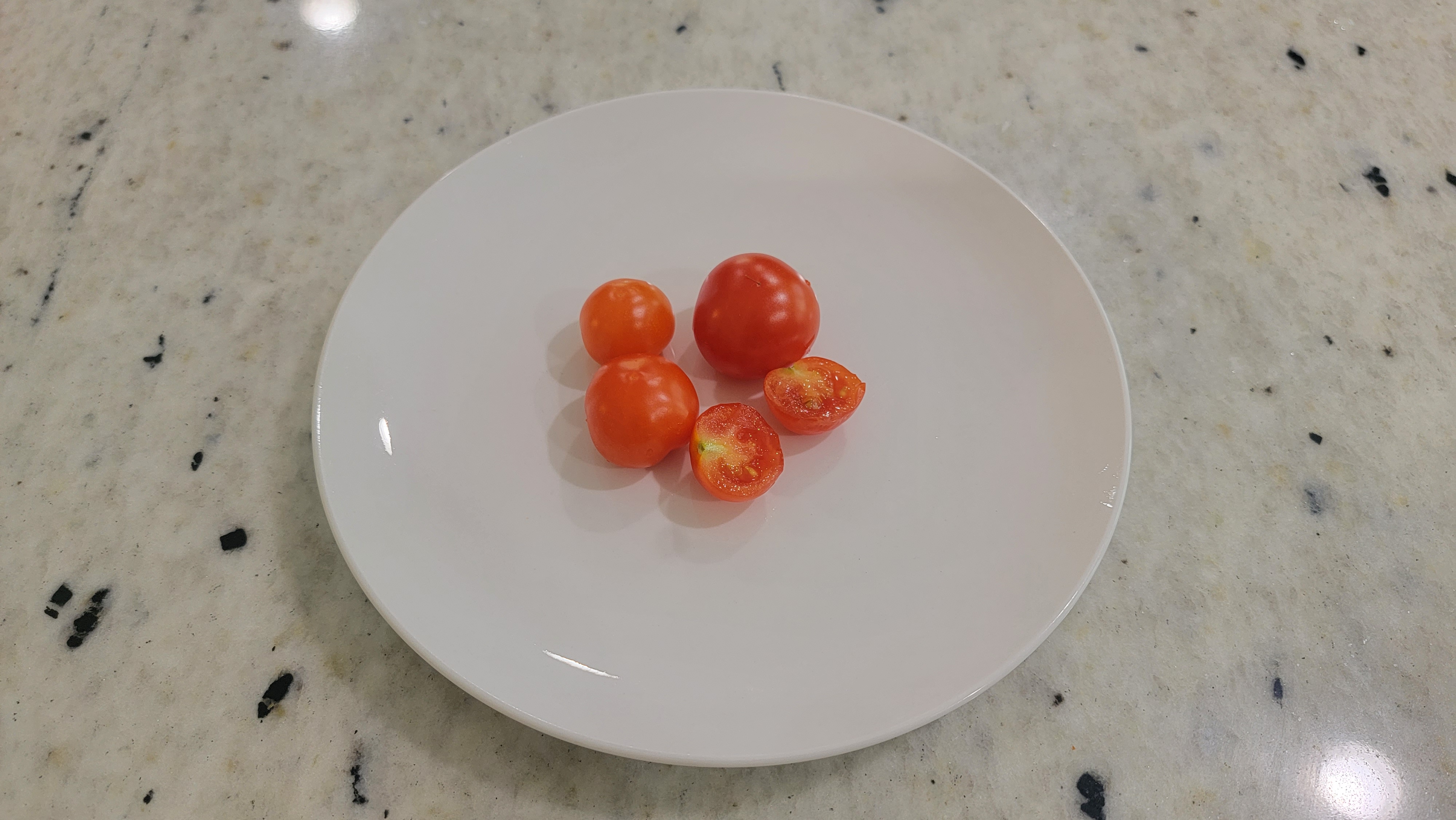 Vilma Micro Dwarf Tomato