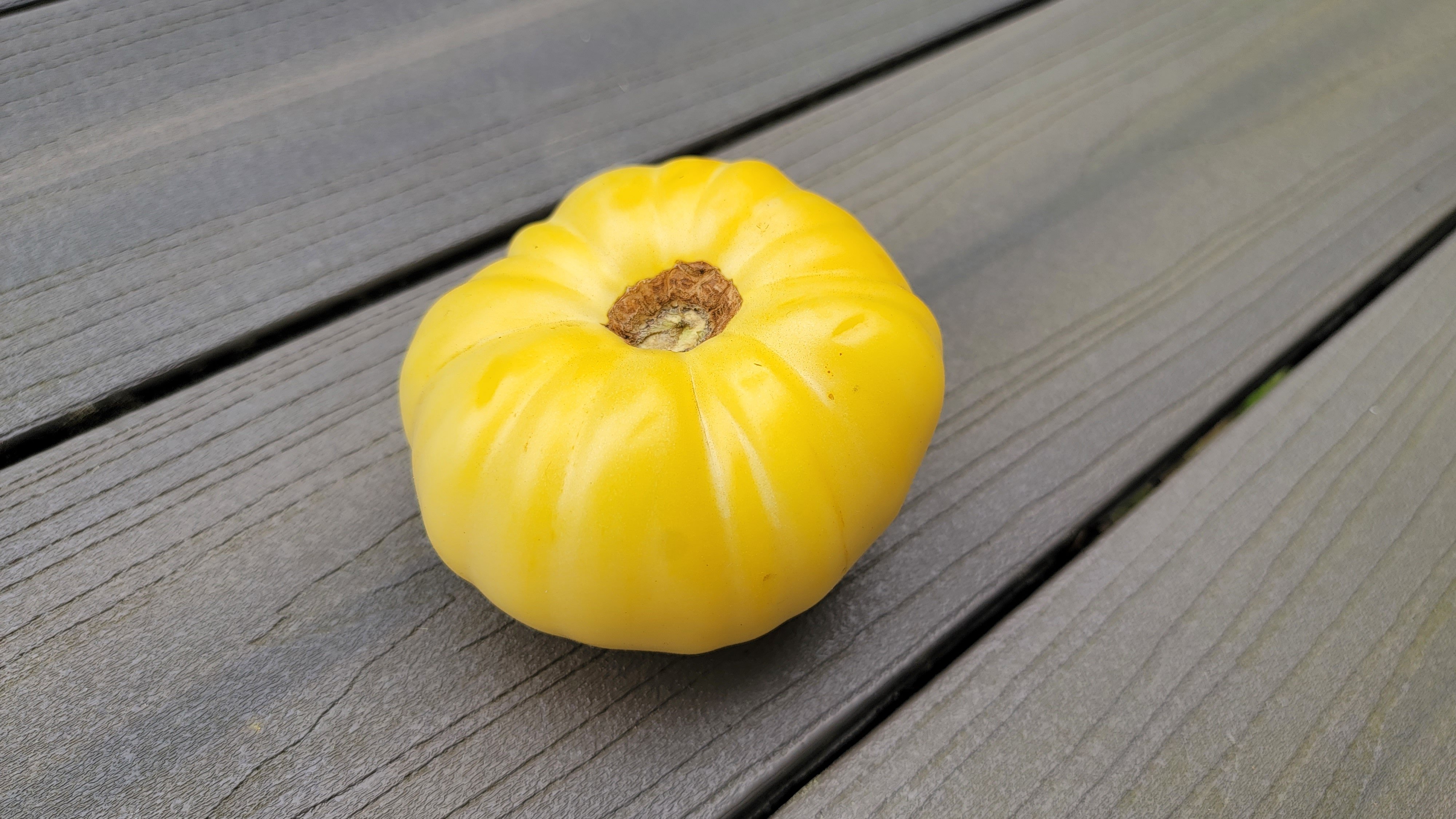 White Beauty Tomato