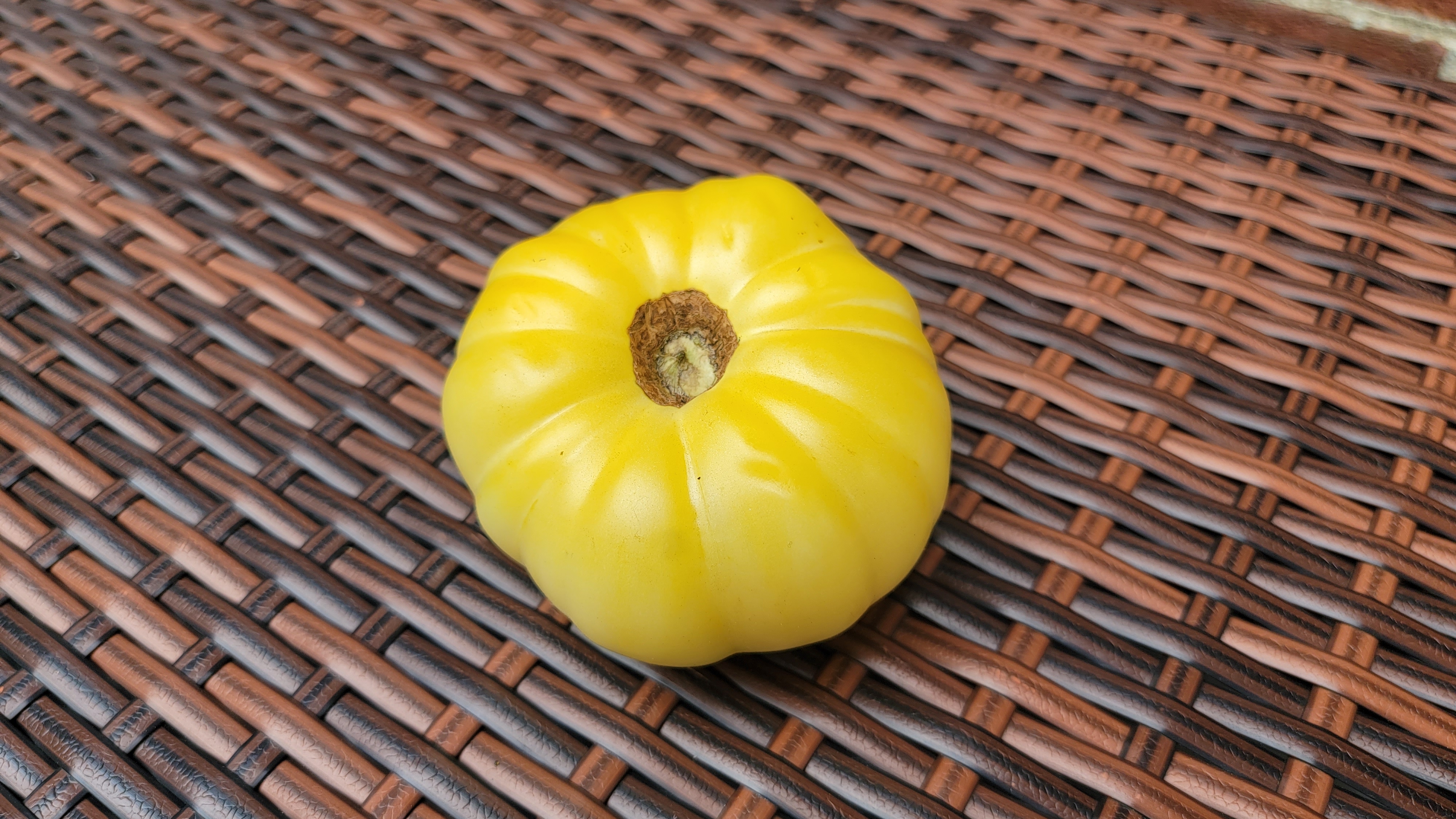 White Beauty Tomato