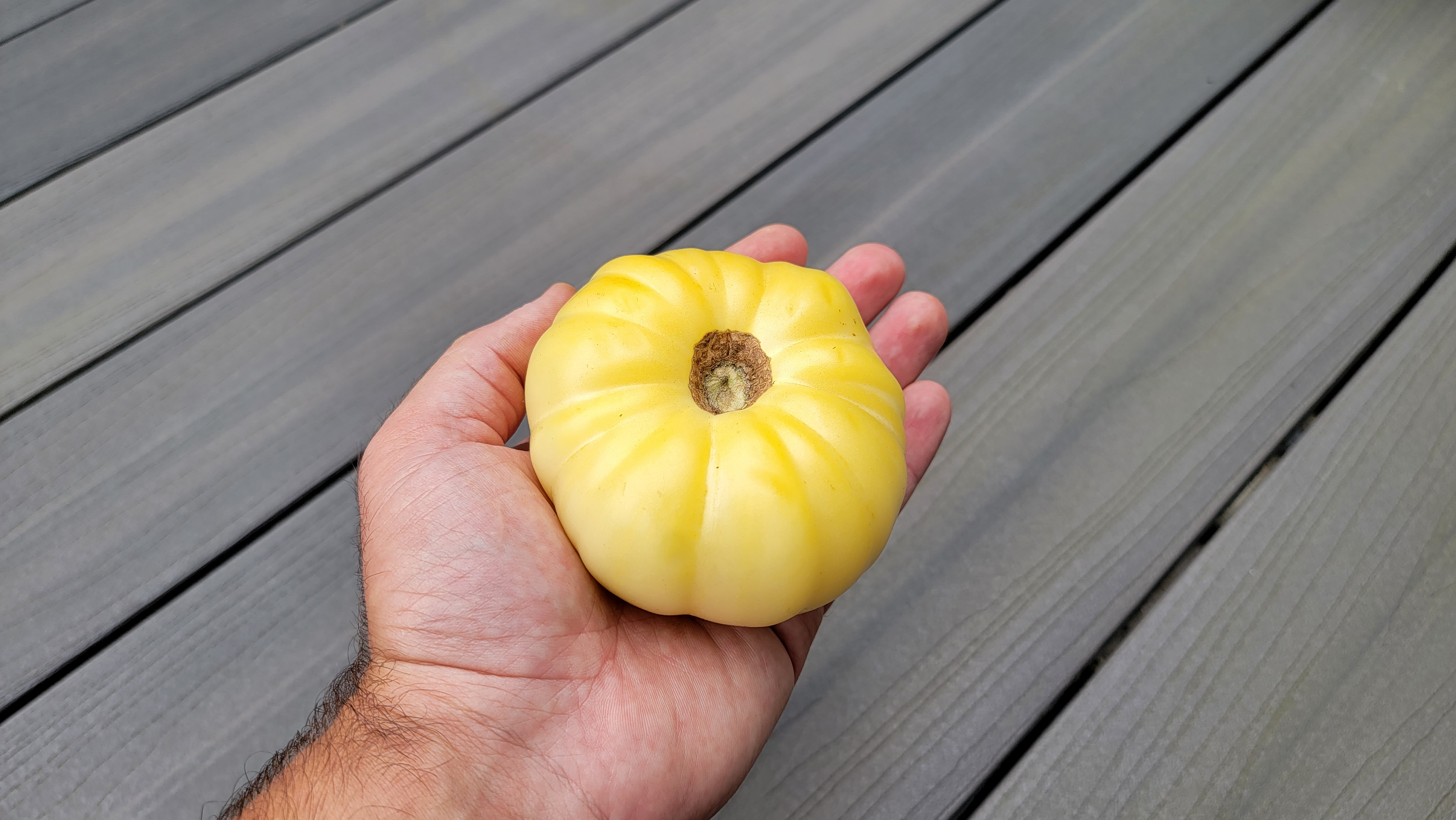 White Beauty Tomato