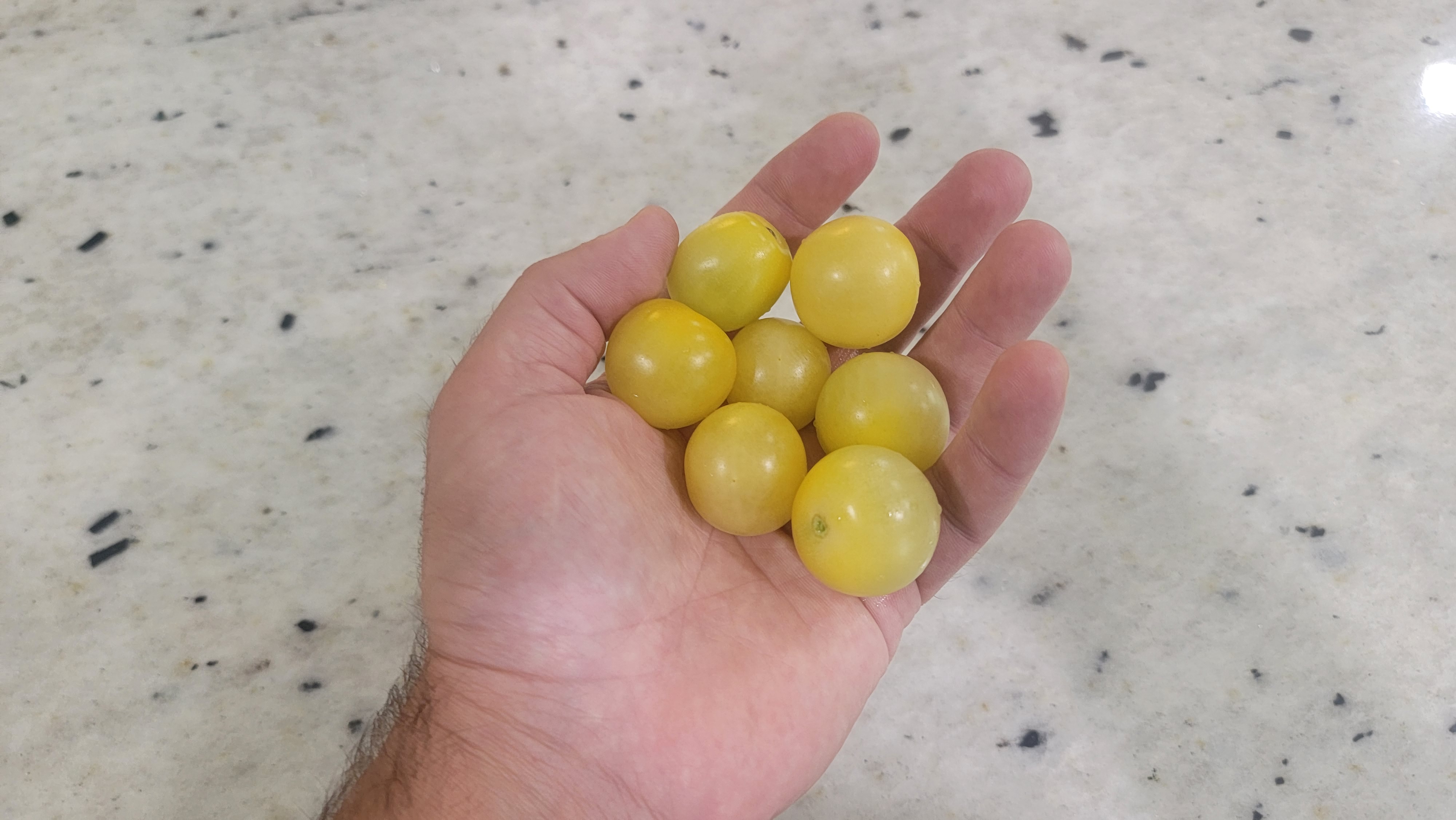 White Cherry Tomato