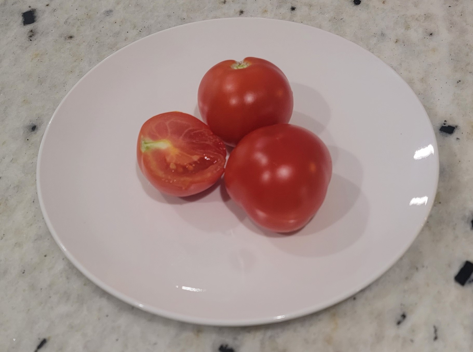 Yukon Quest Dwarf Tomato
