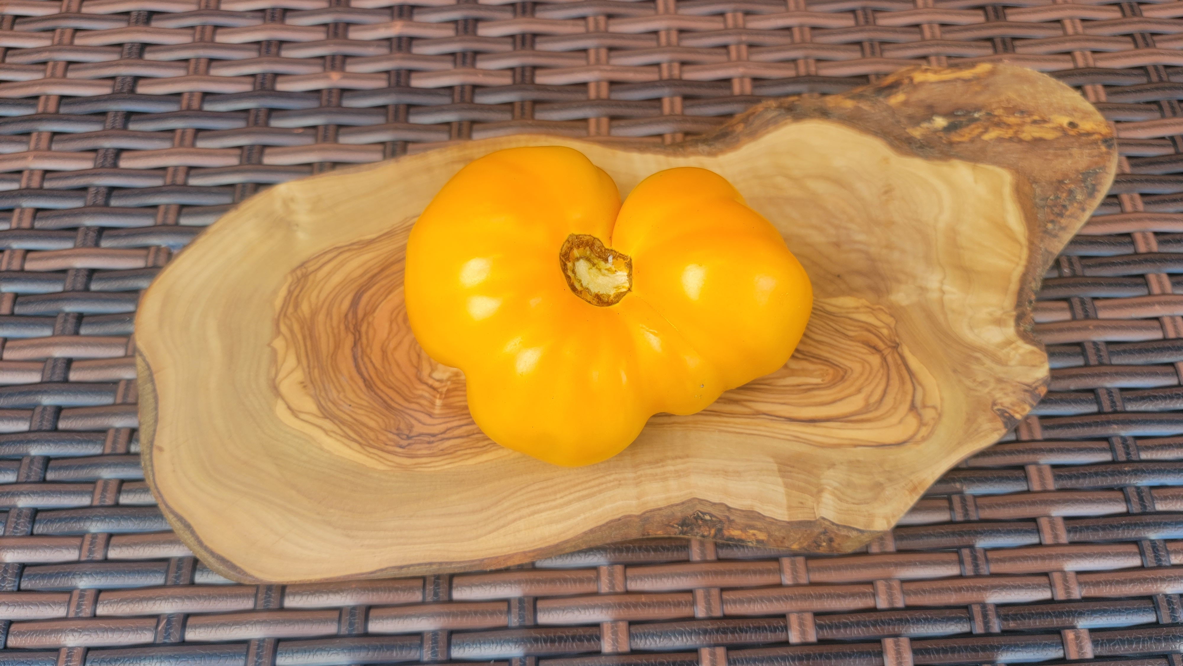Zolotoy Bik (Golden Bull) Tomato