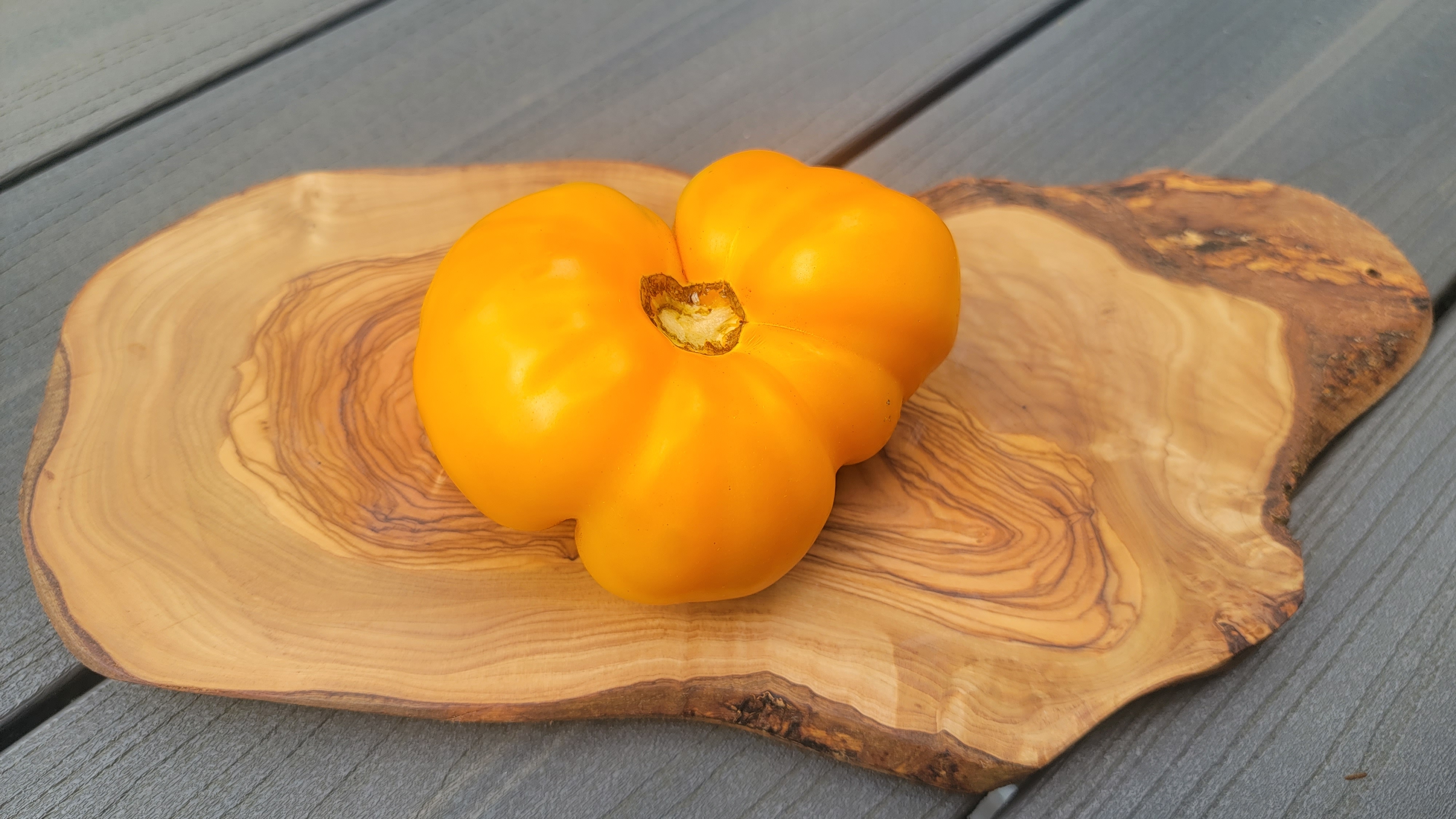 Zolotoy Bik (Golden Bull) Tomato