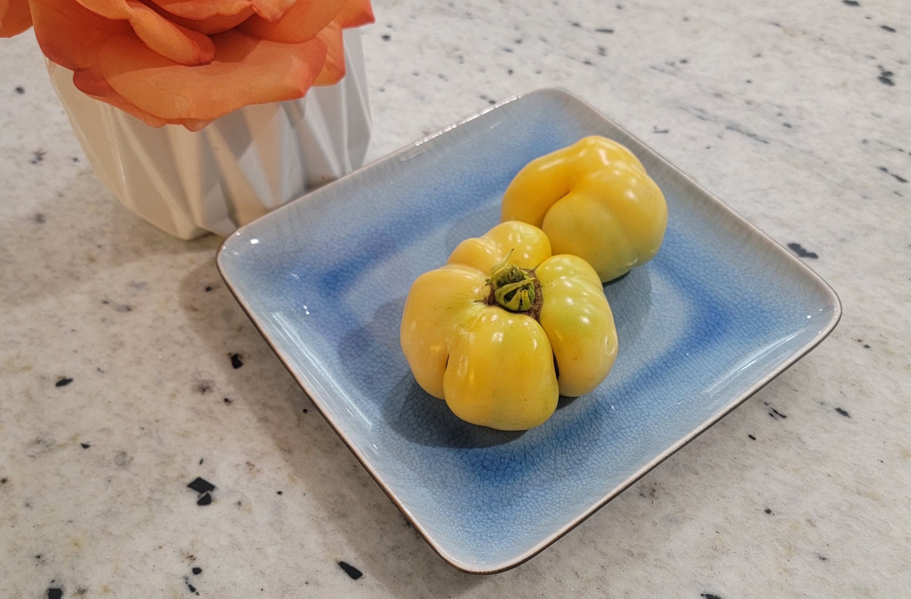 Zolotoy Bik (Golden Bull) Tomato