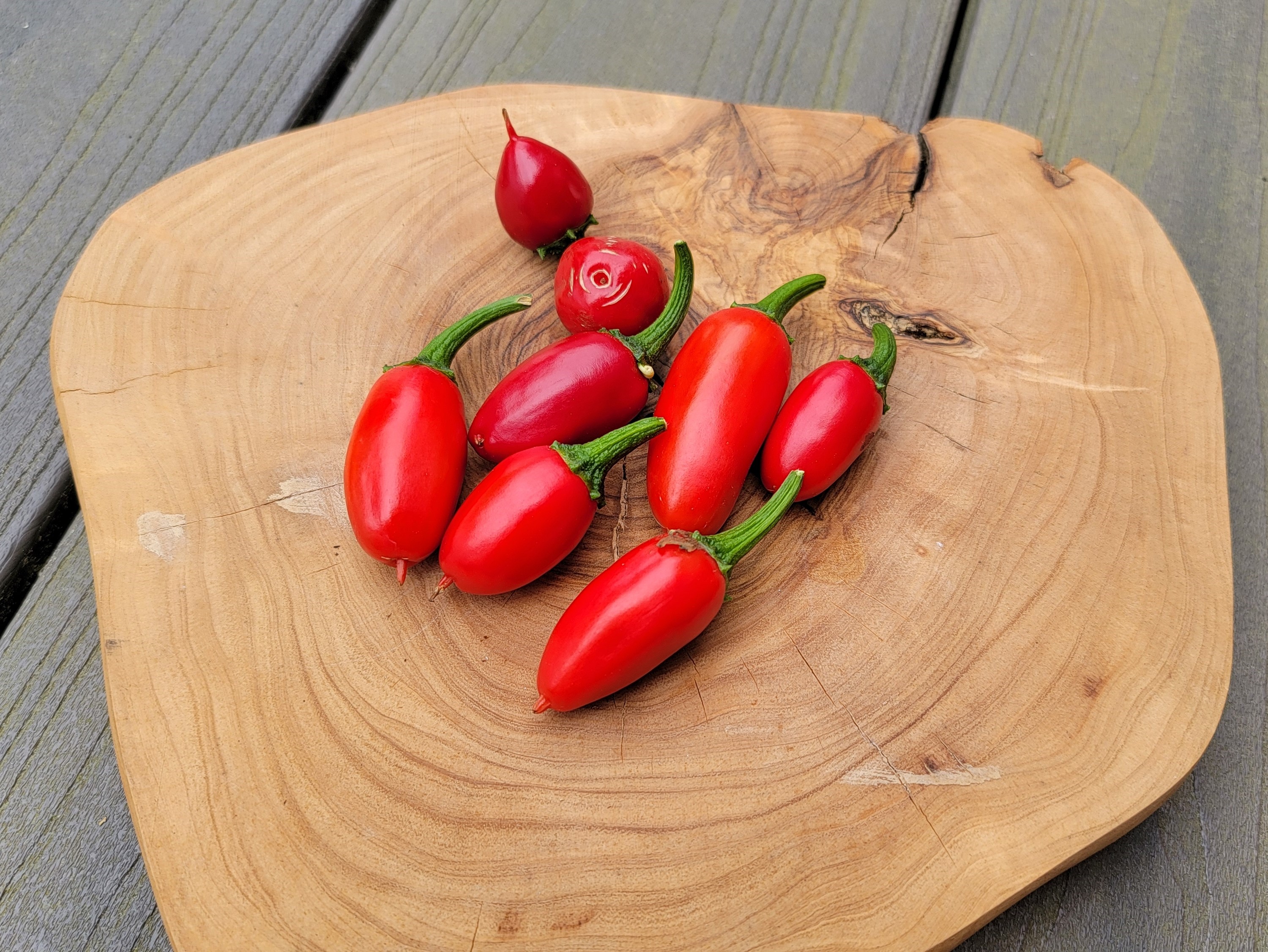 Zapotec Jalapeno