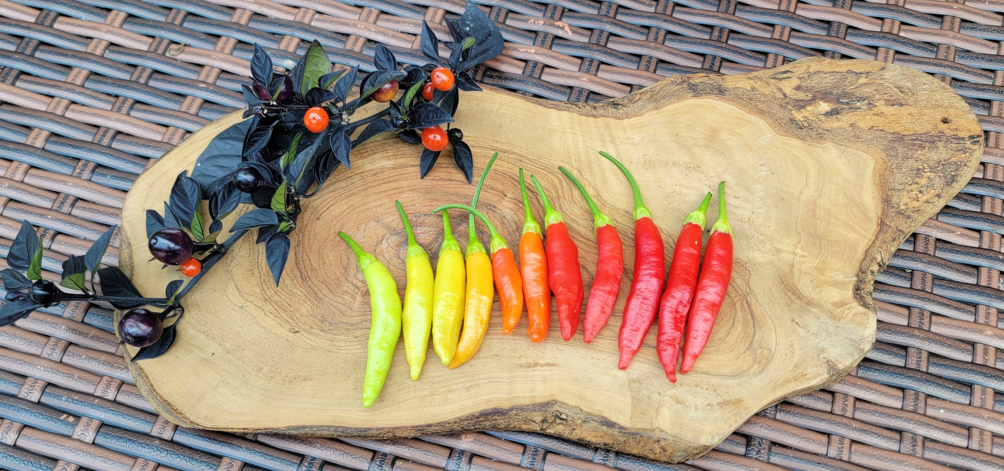 Aji Peruvian