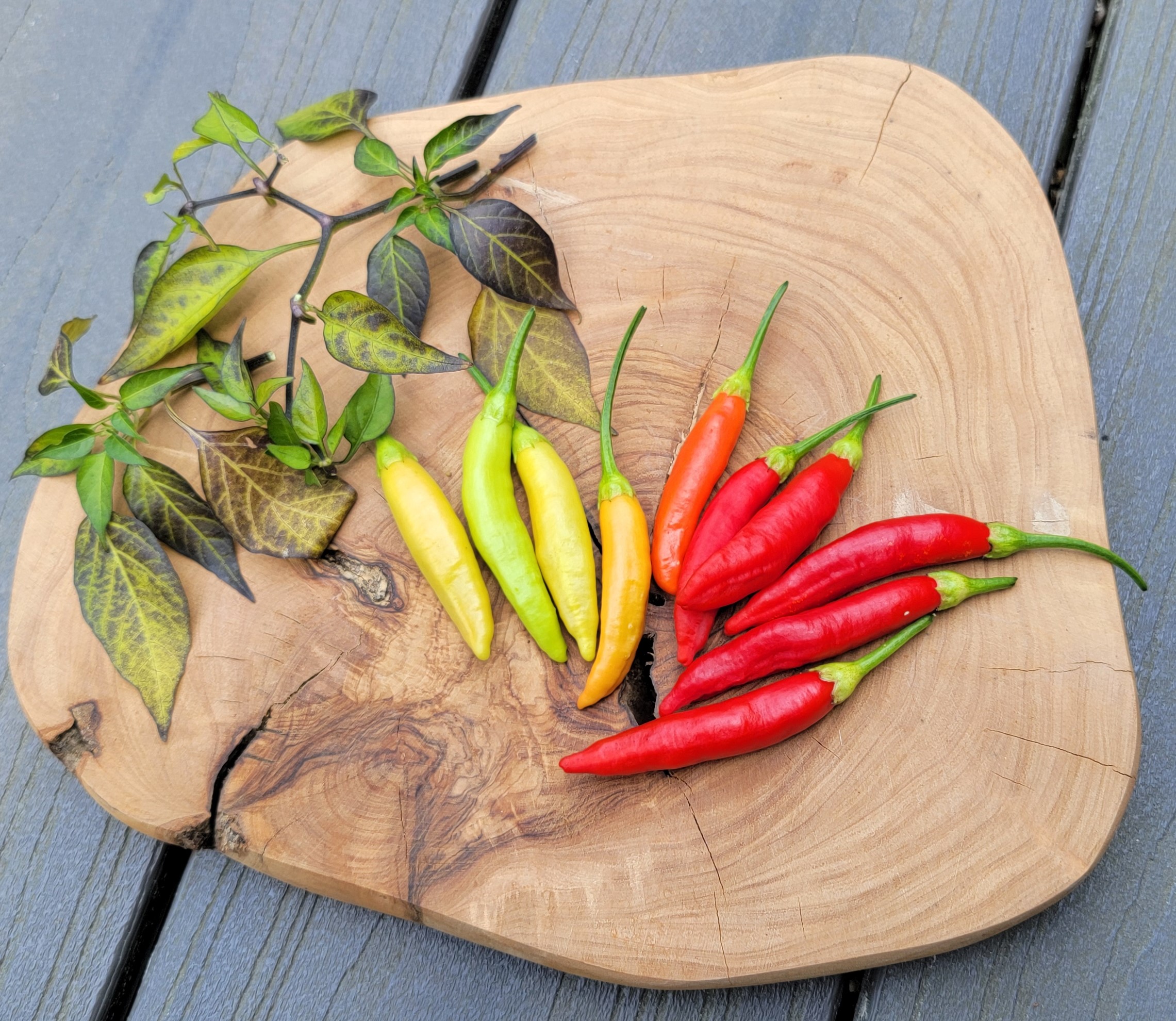 Aji Peruvian