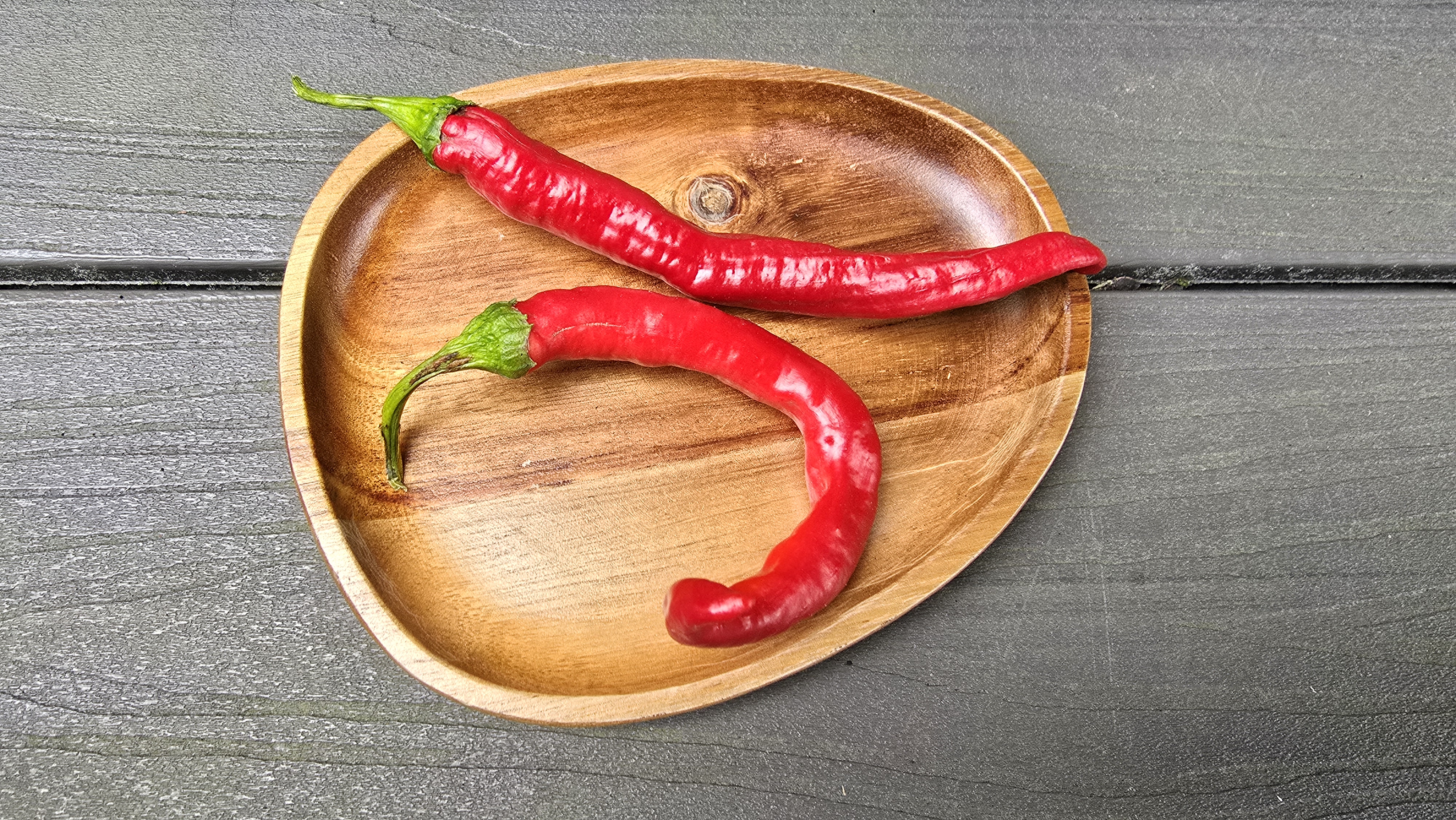 Hangjiao #8 Total Eclipse