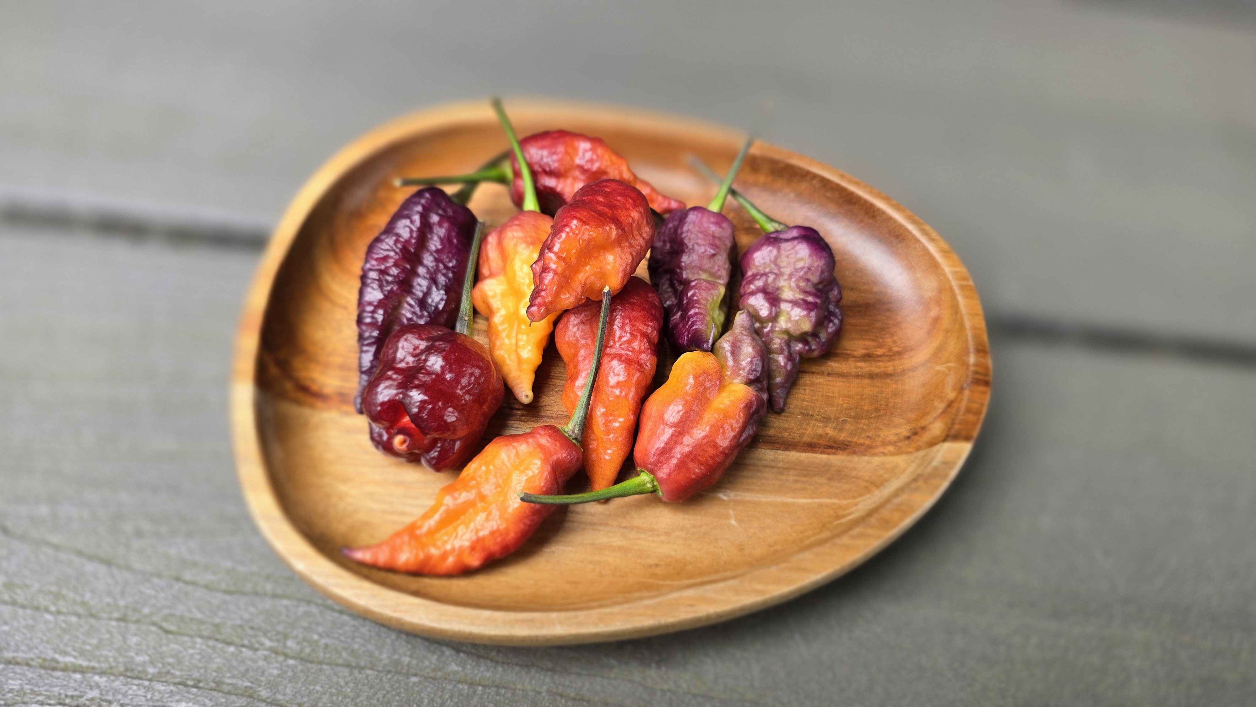 Carolina Reaper x Purple Naga Tiger F3