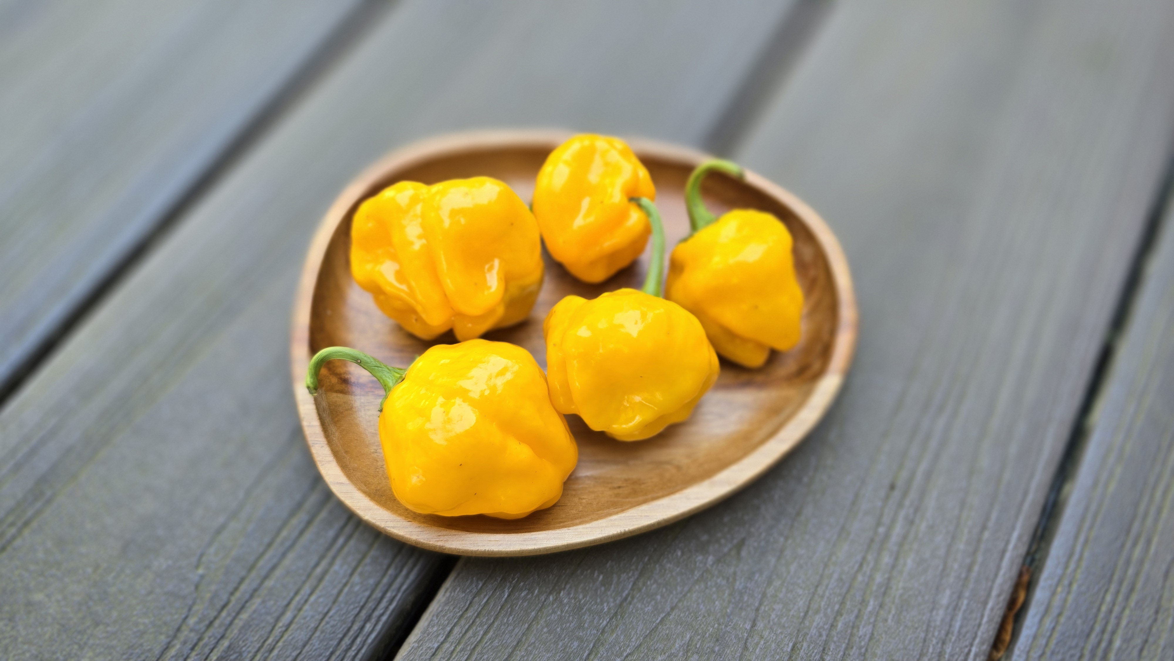 Scotch Bonnet Yellow