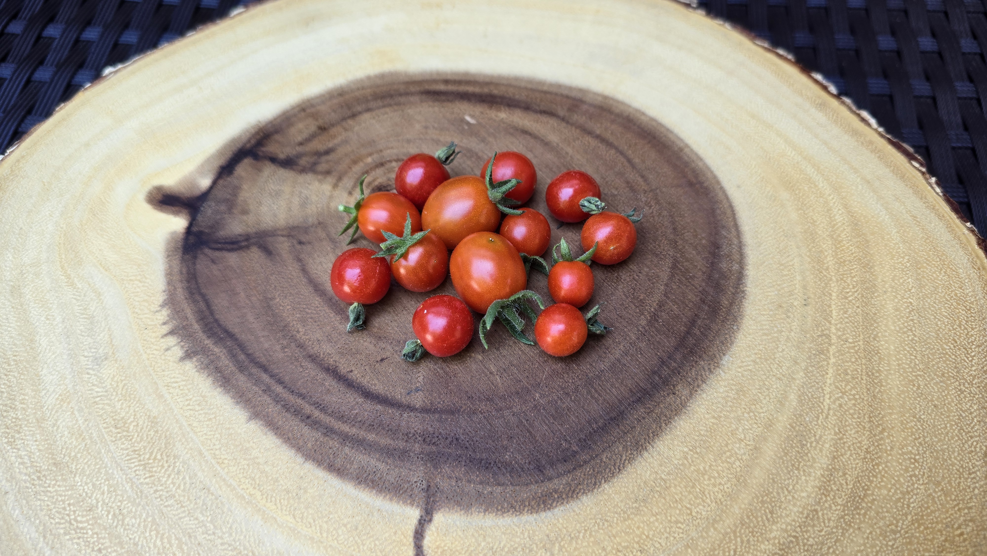 Mexico Midget (MX Midget)