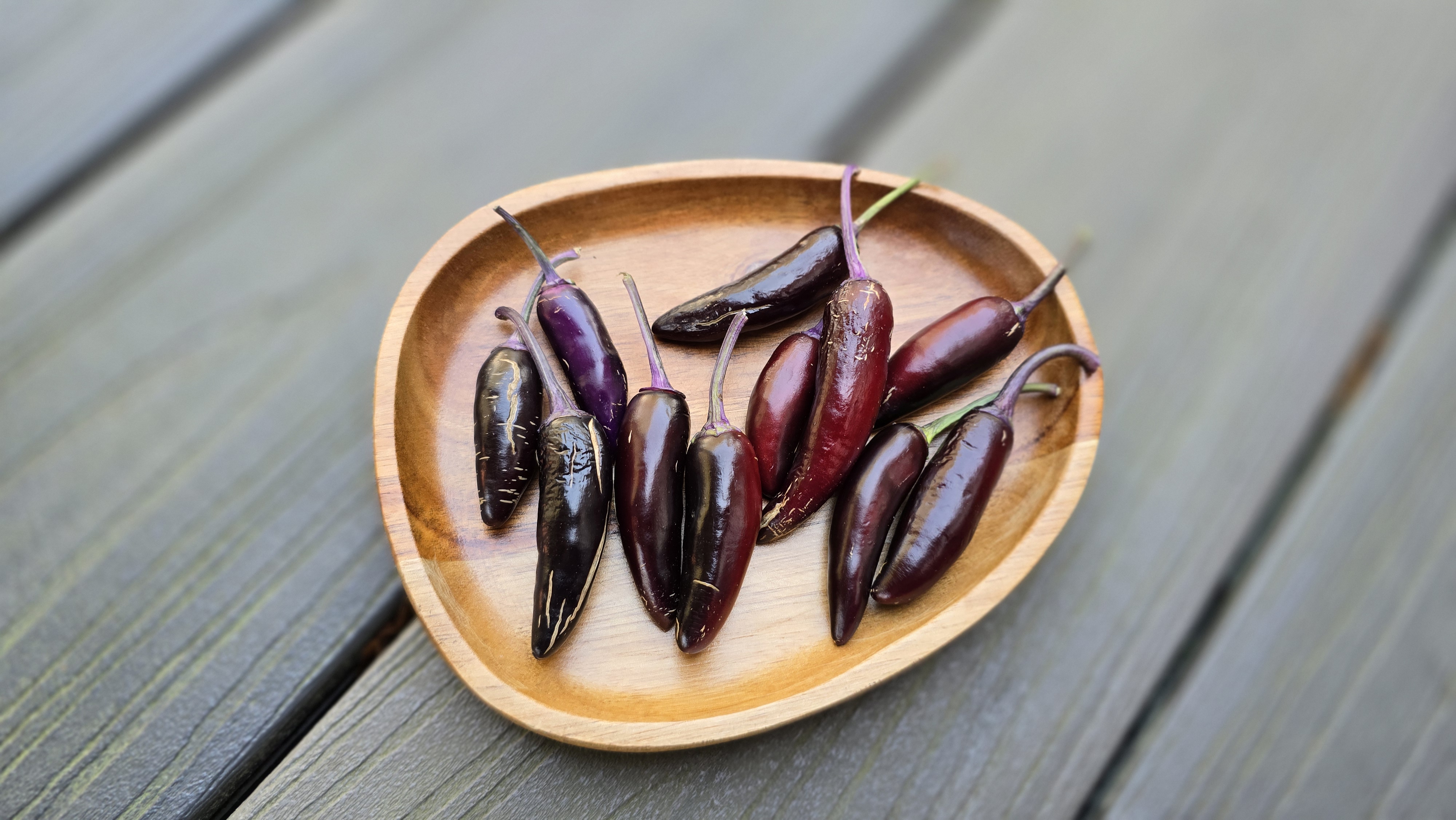 Dreamcatcher x Jalapeno Farmer's Market Potatoes