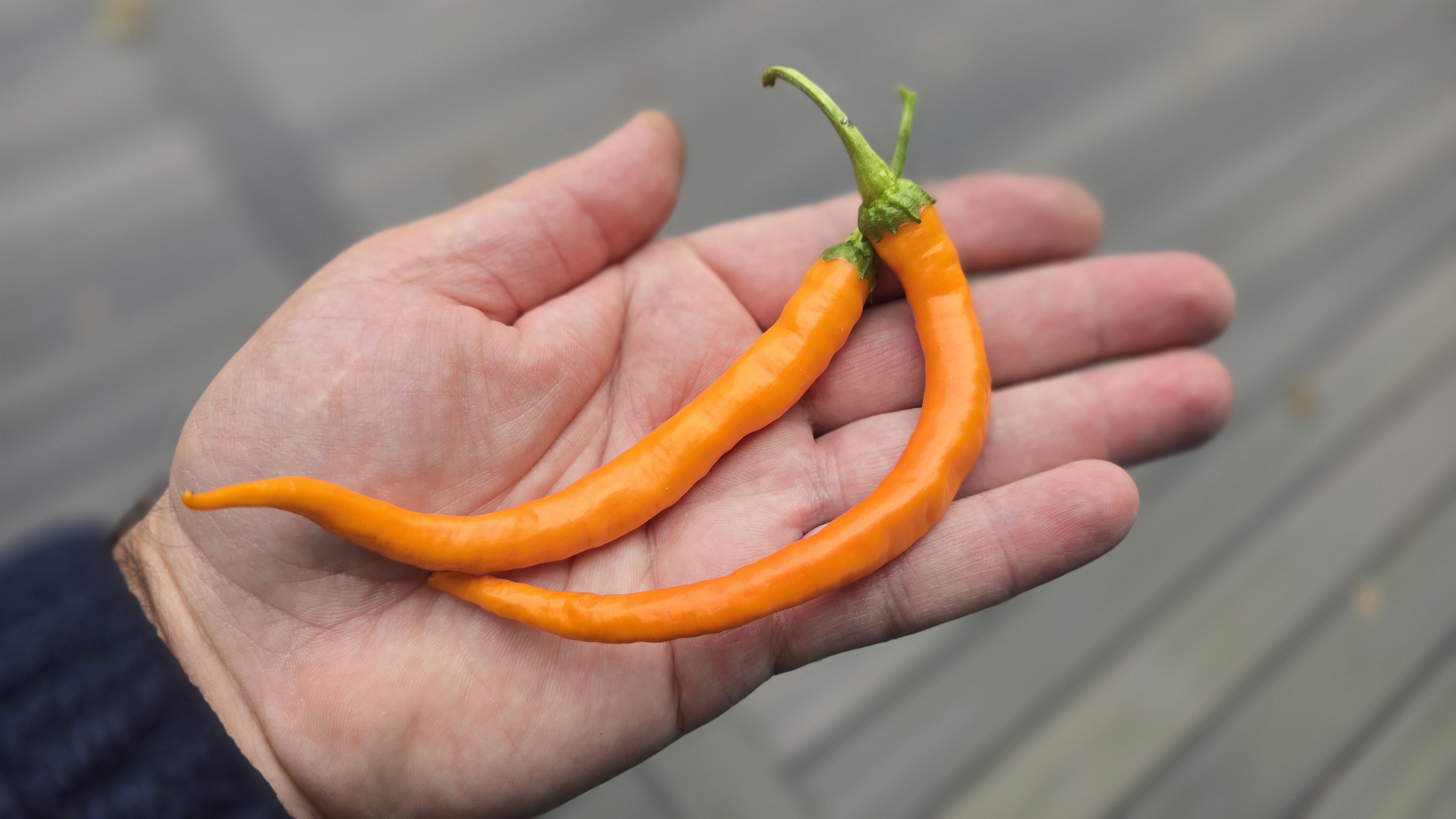 Hangjiao #3 Solar Flare