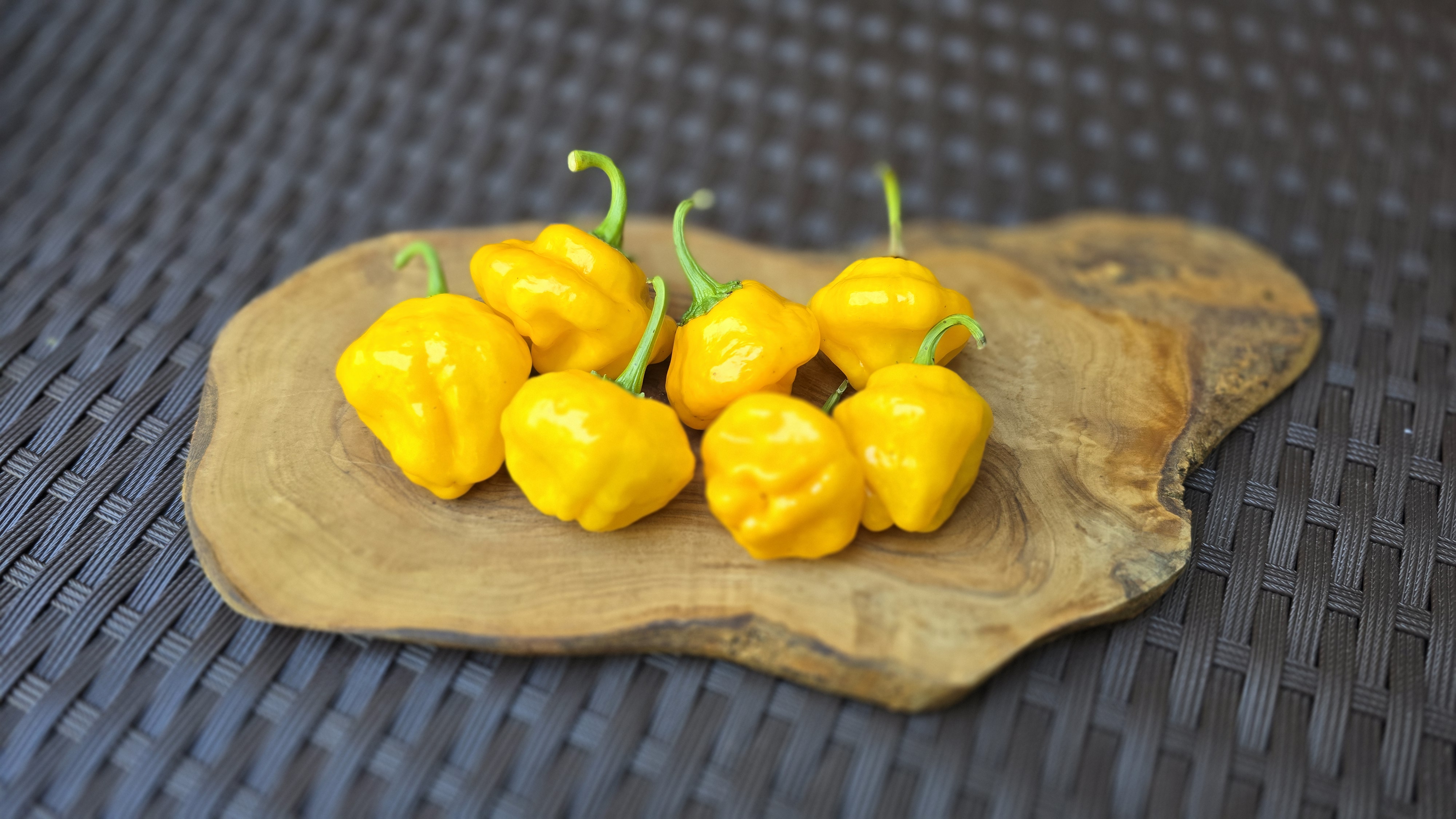 Scotch Bonnet Yellow