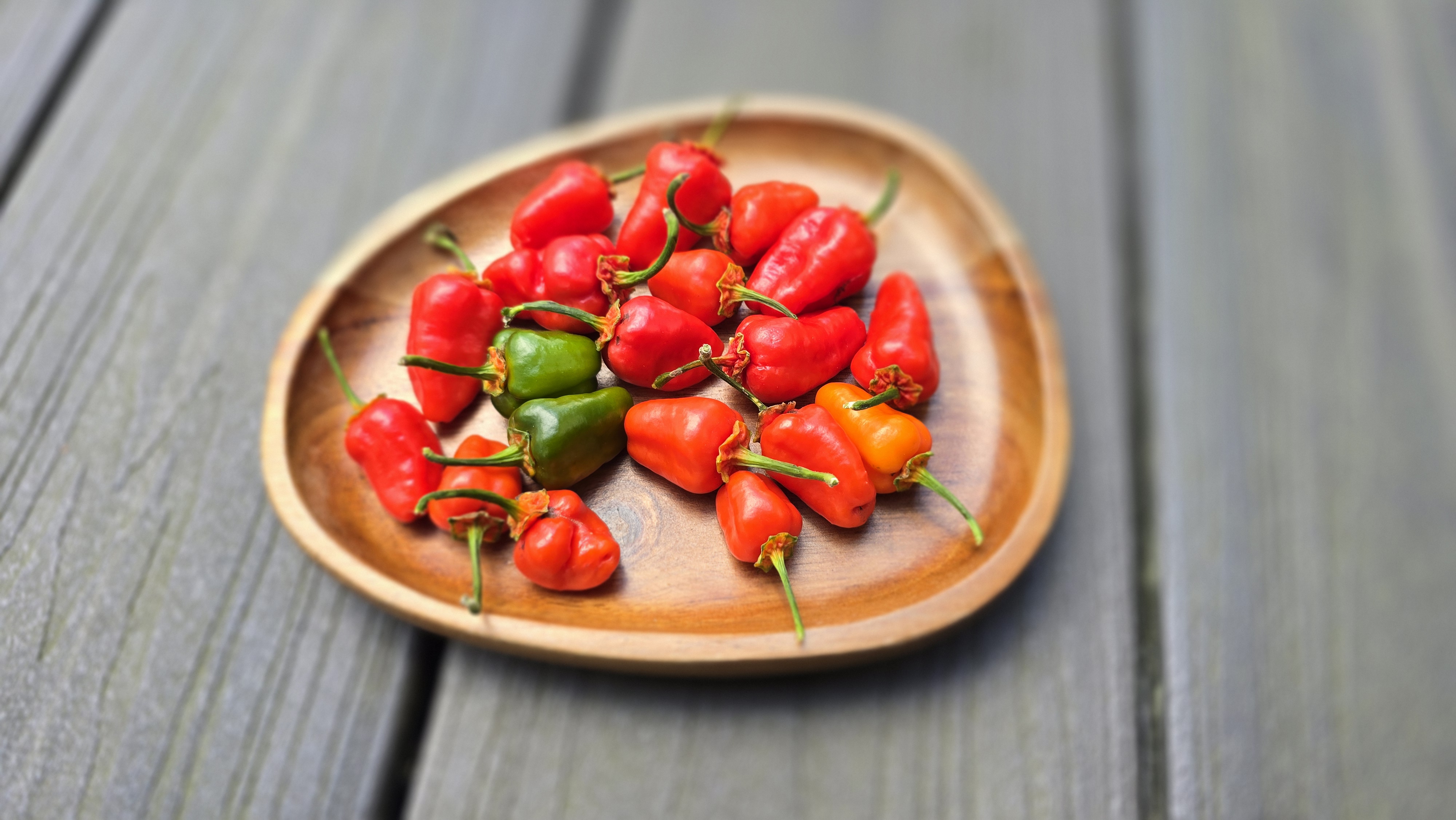 BBG7 Red Tiger x Murupizao F3