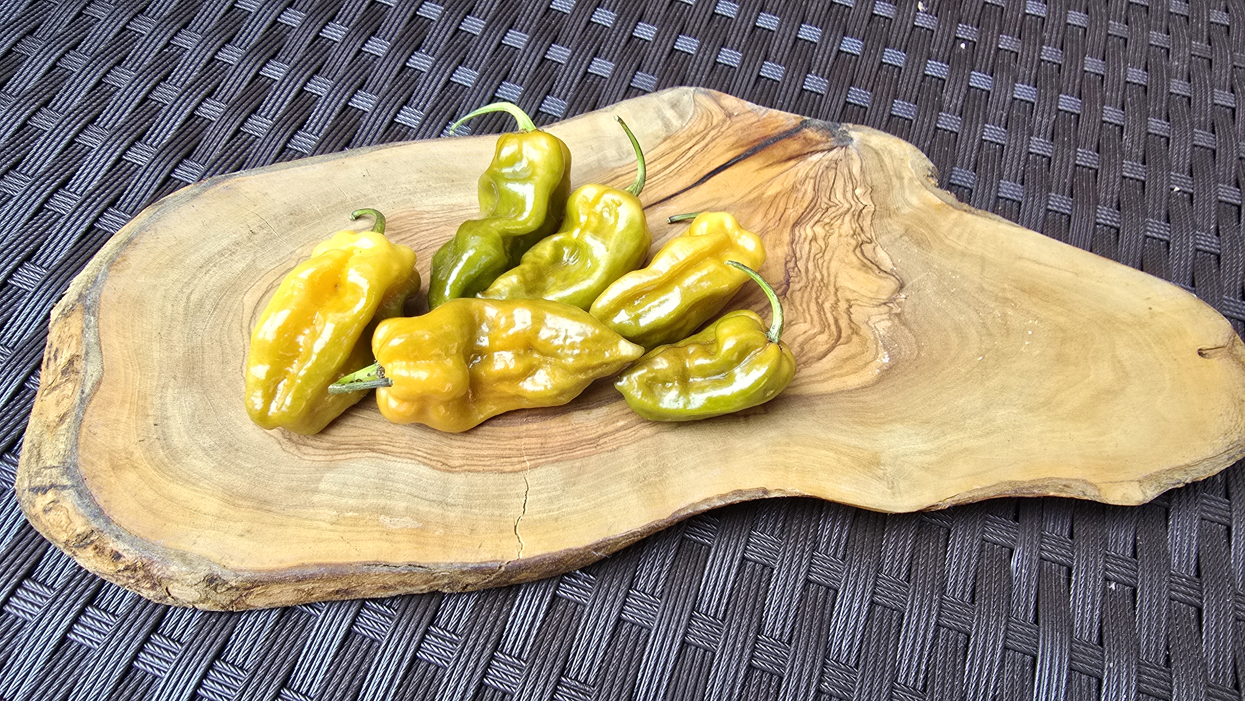 Mean Green Mustard BBG