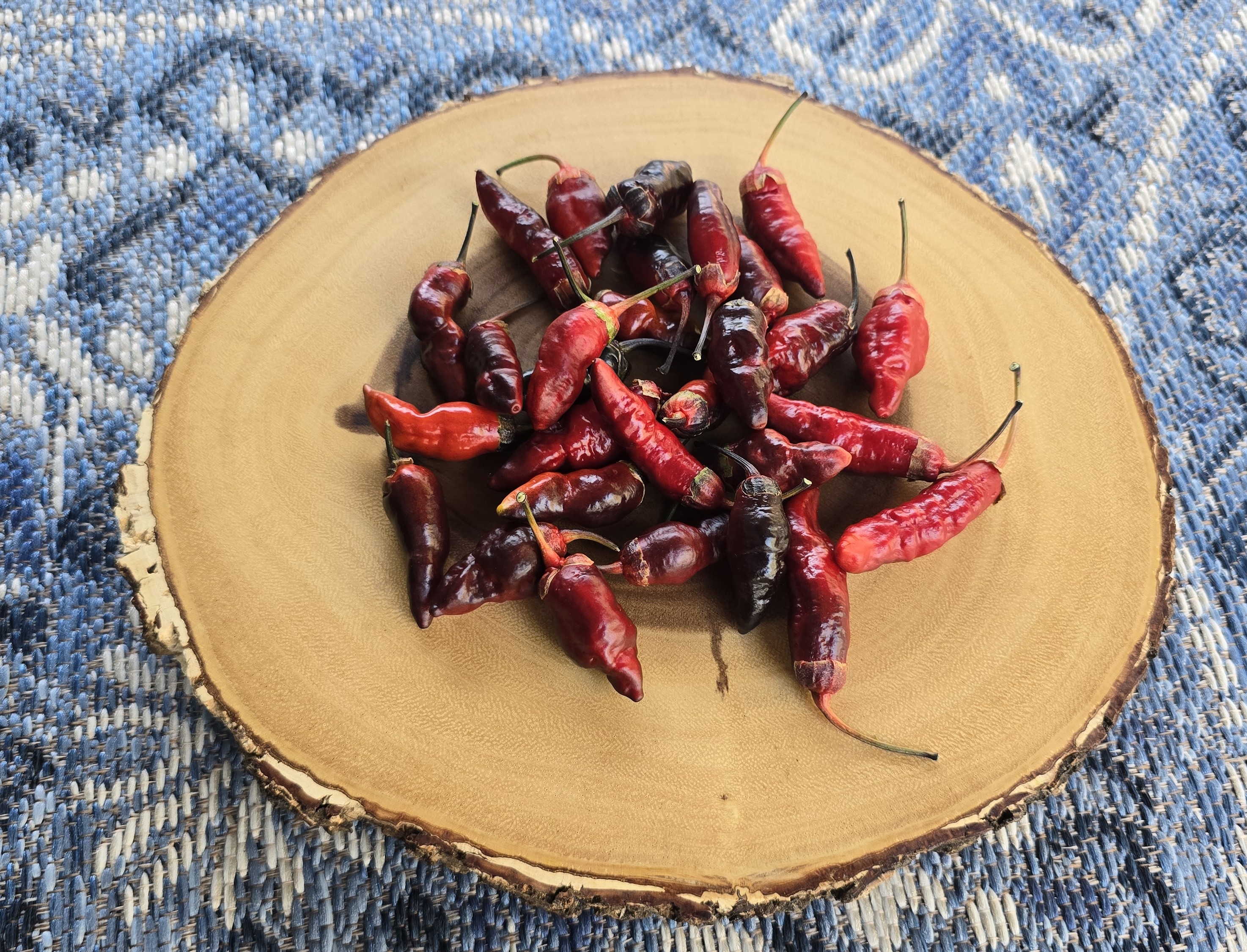 Sepia Reaper x Pink Tiger F4