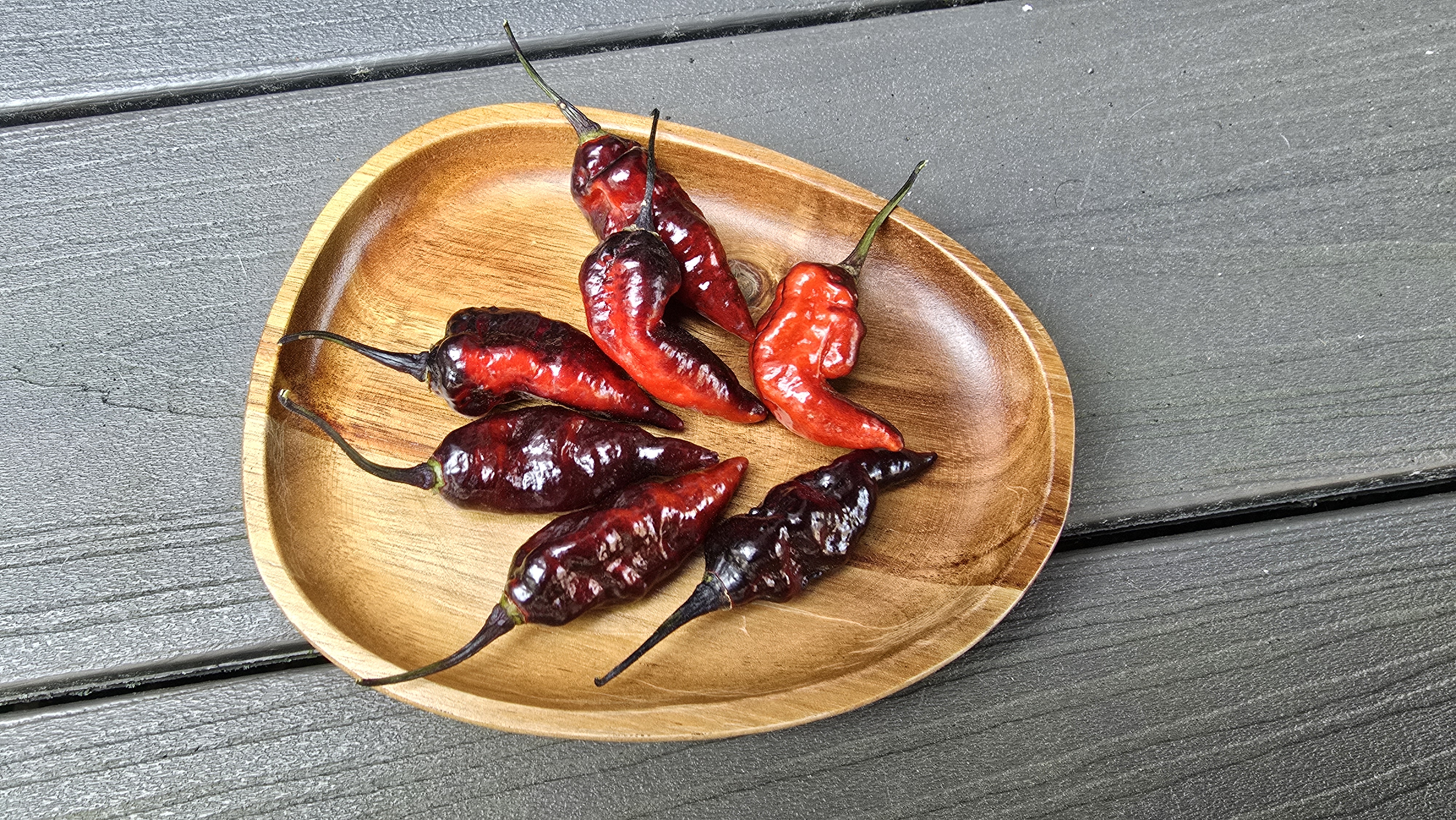 Bhut Jolokia Diamante Negro