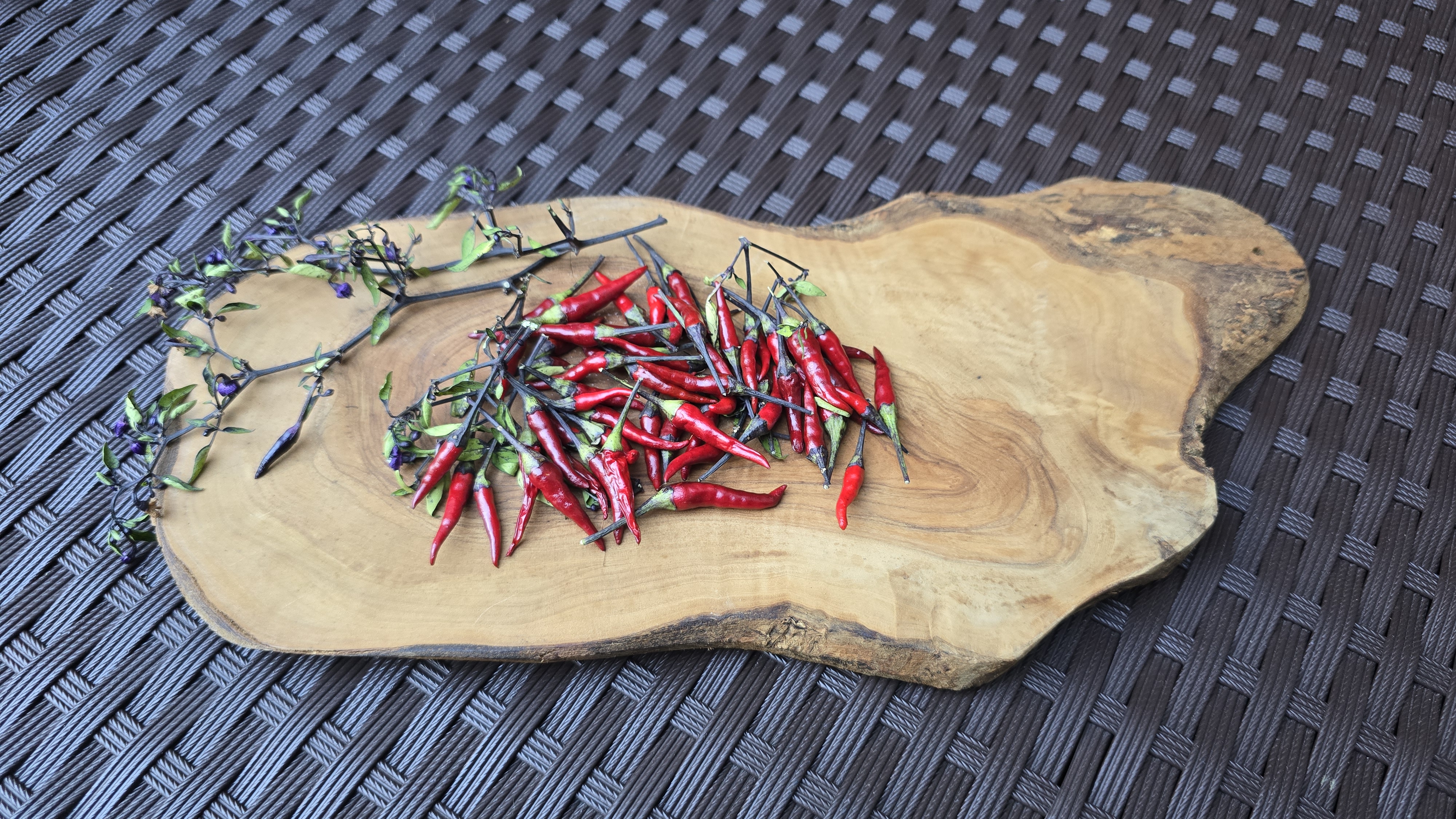 Maui Purple Multicolor