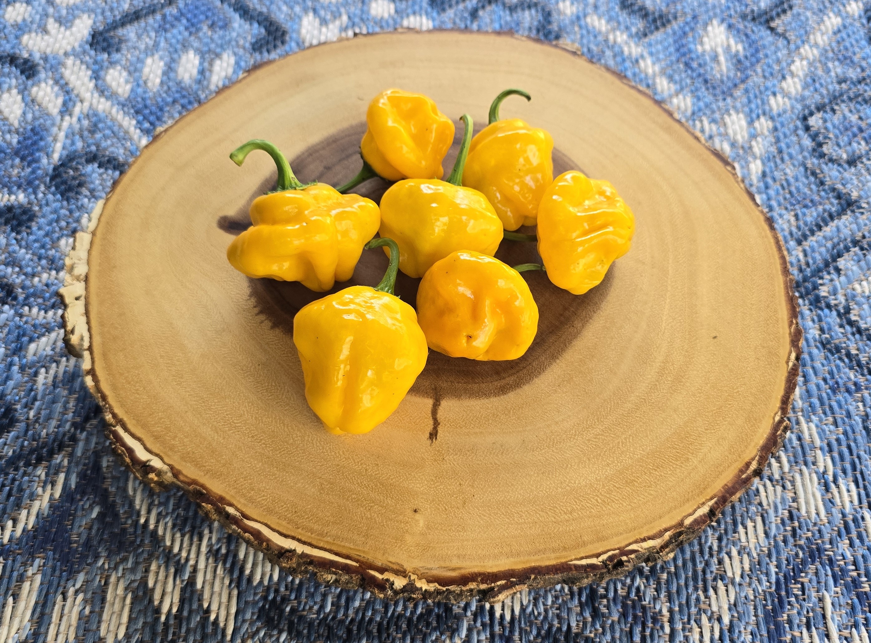 Scotch Bonnet Yellow