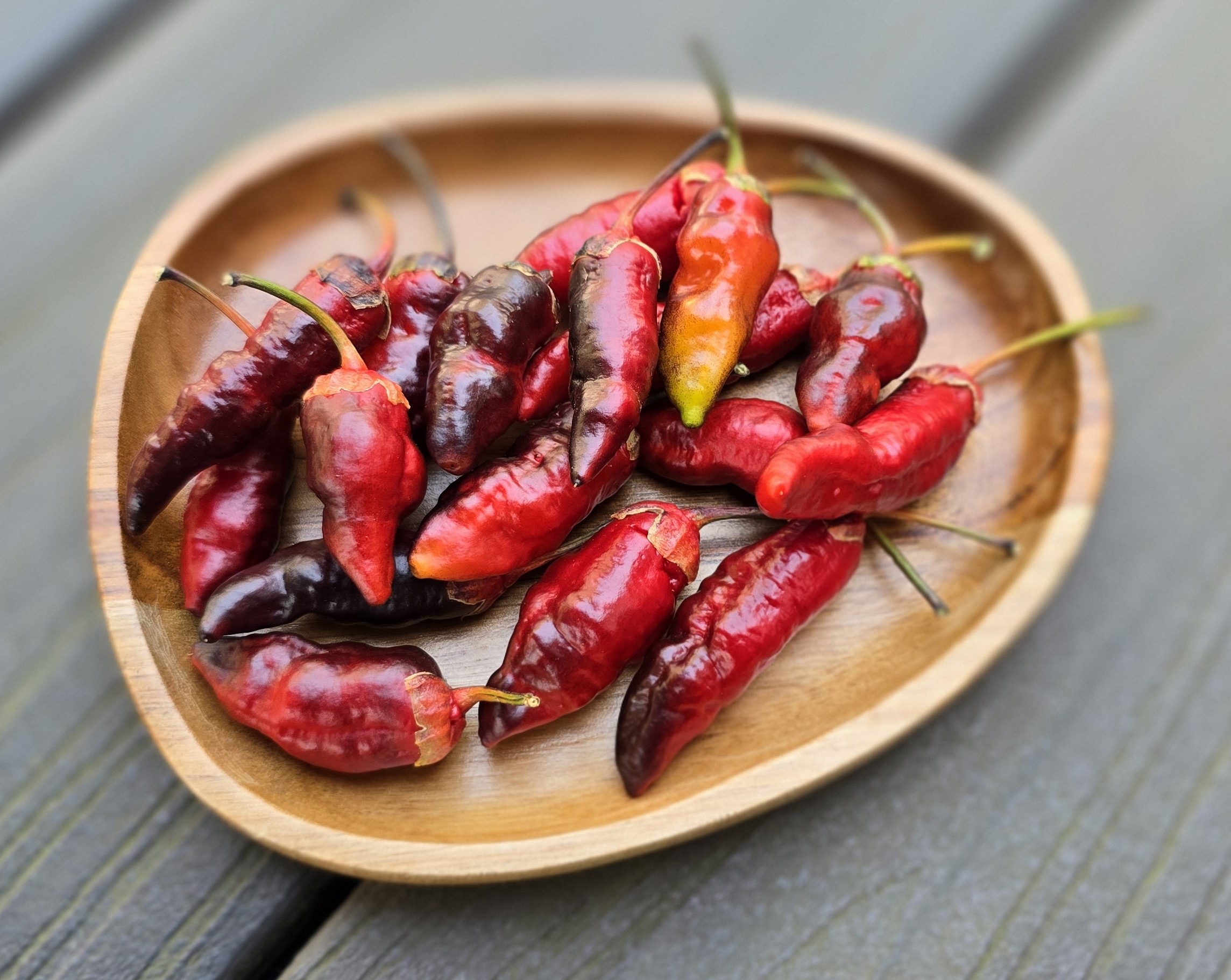 Sepia Reaper x Pink Tiger F4