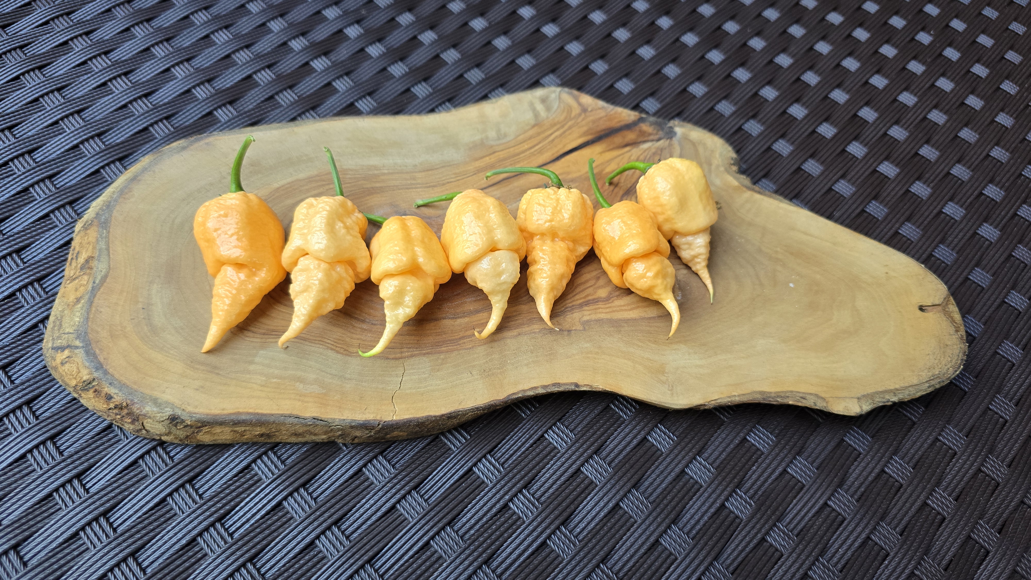 Tiberius Mauler Peach