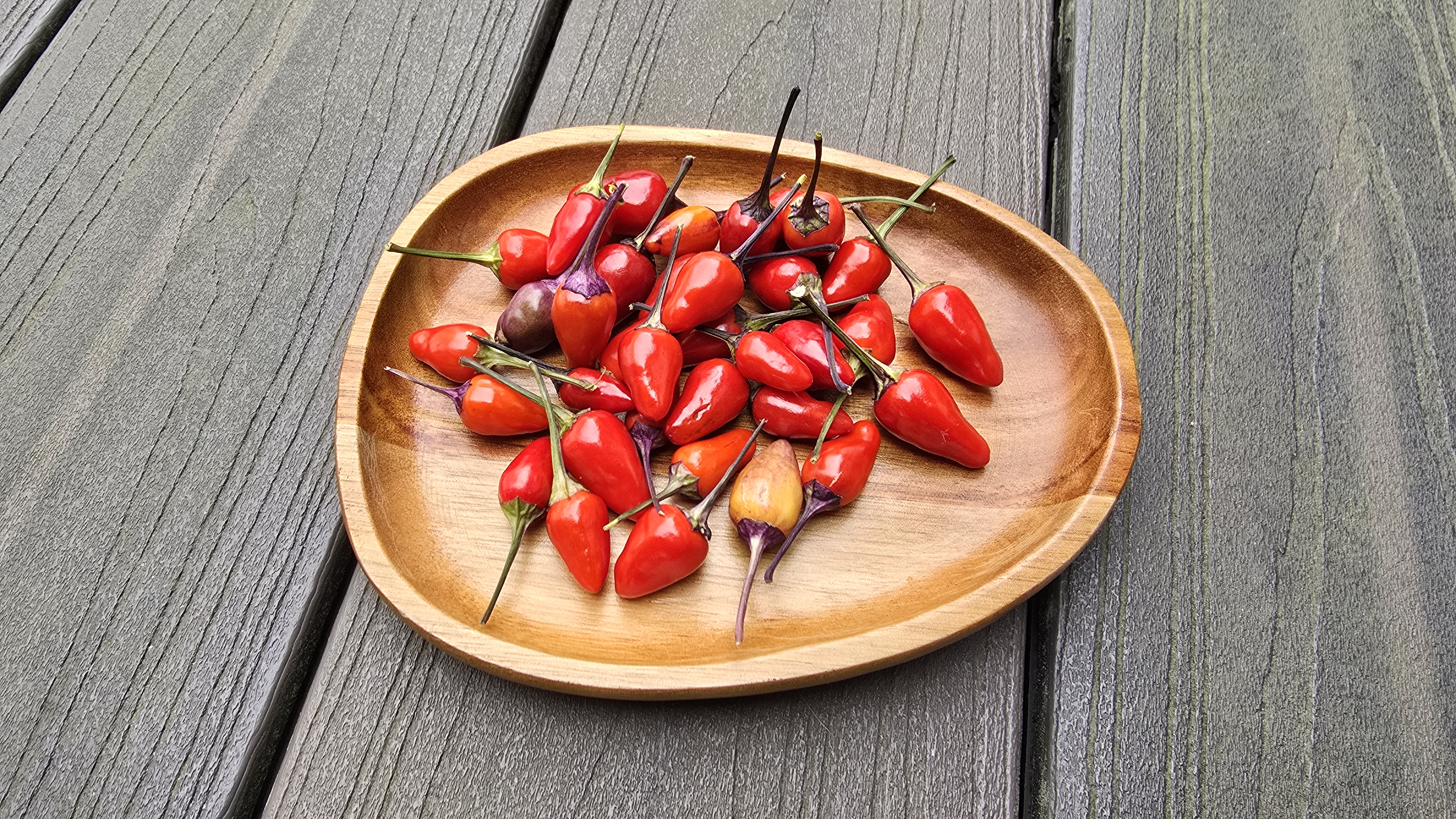 Bleeding Rawit White x Purple Flash F5