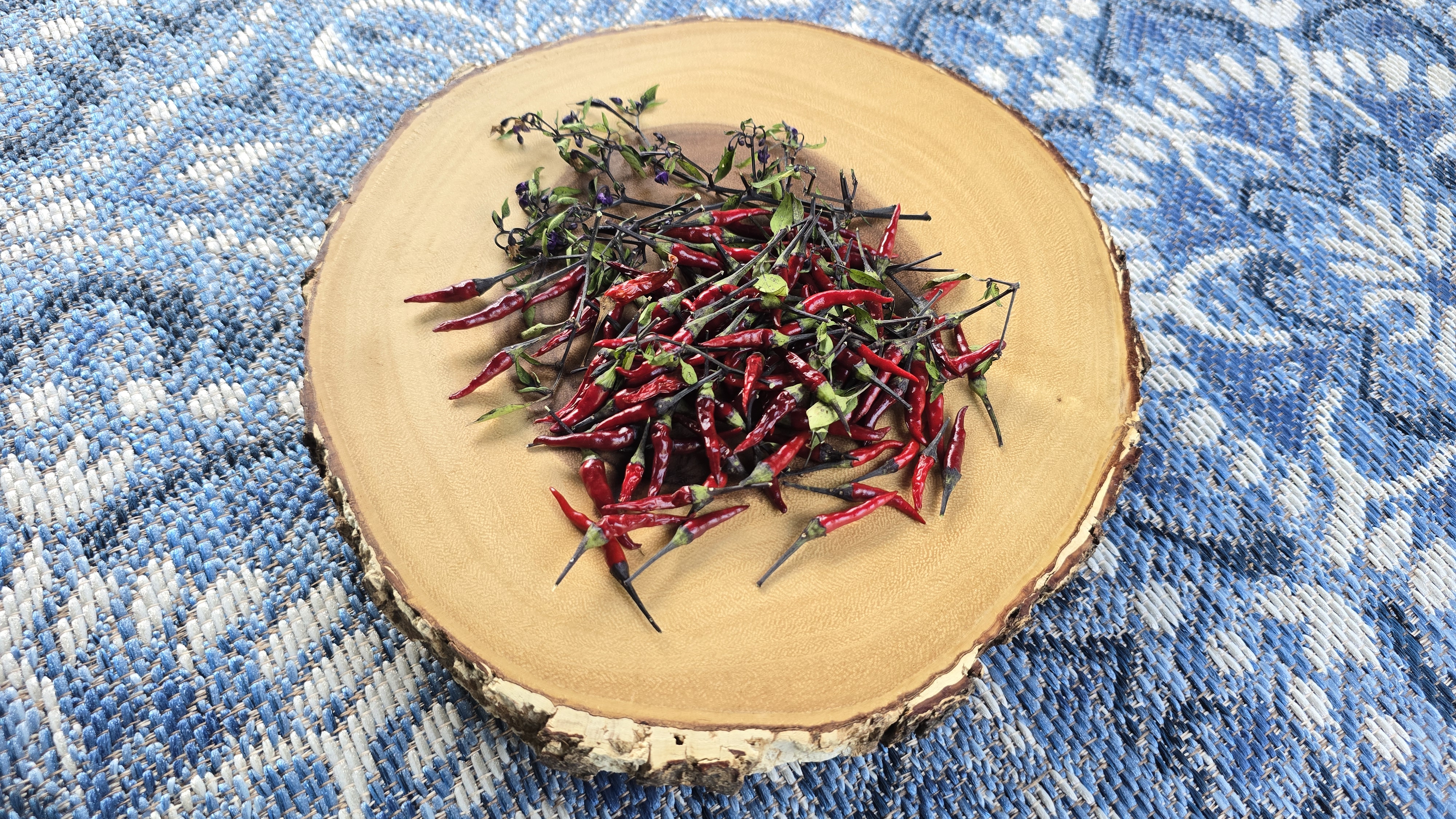 Maui Purple Multicolor