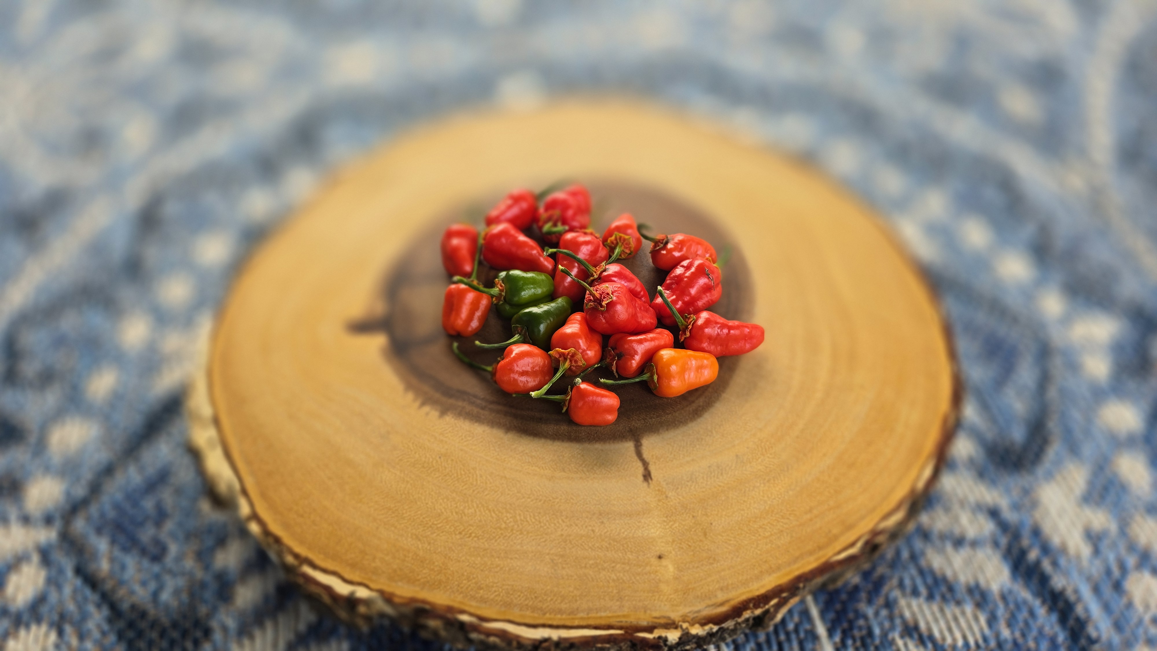 BBG7 Red Tiger x Murupizao F3