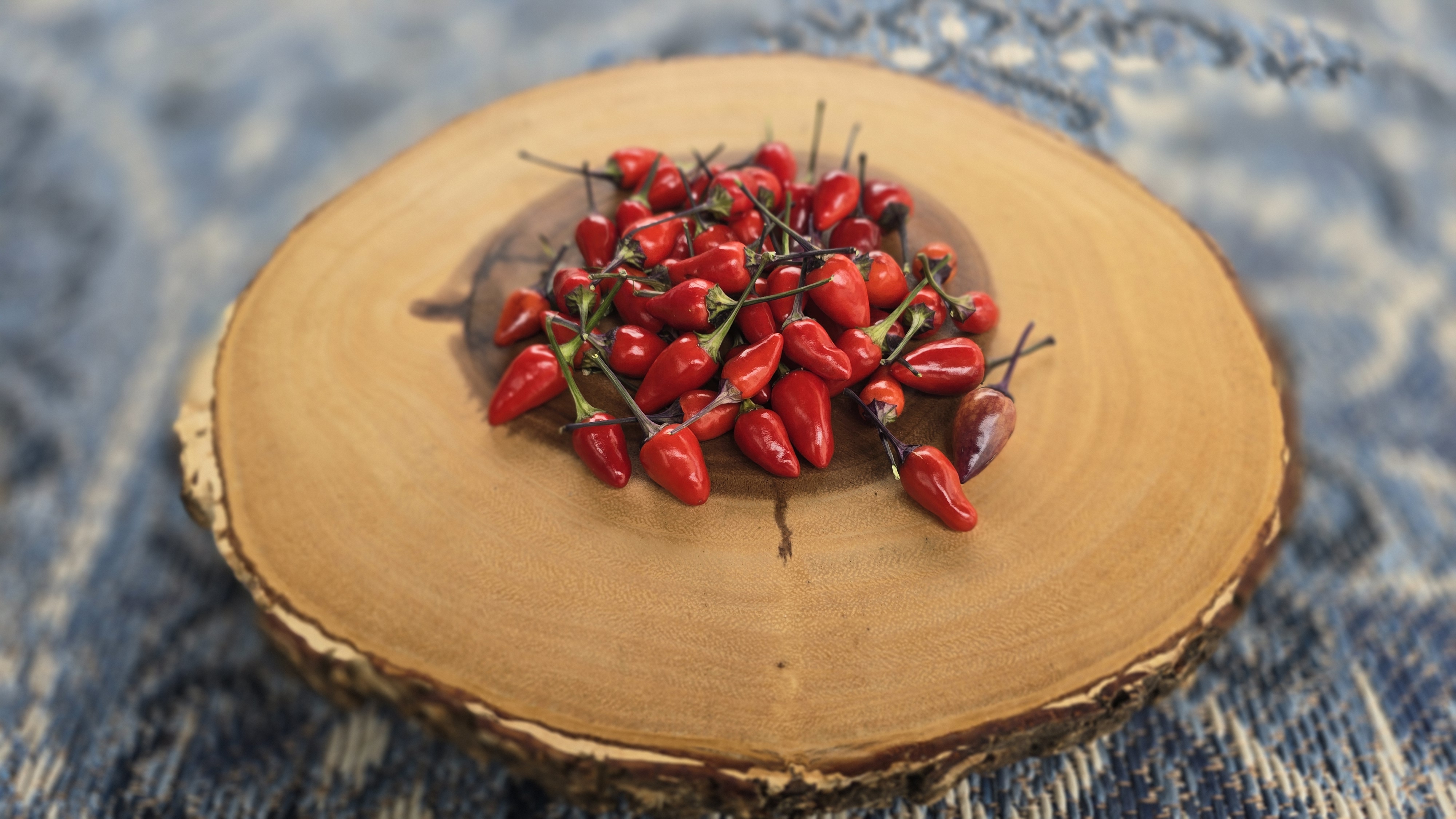 Bleeding Rawit White x Purple Flash F5