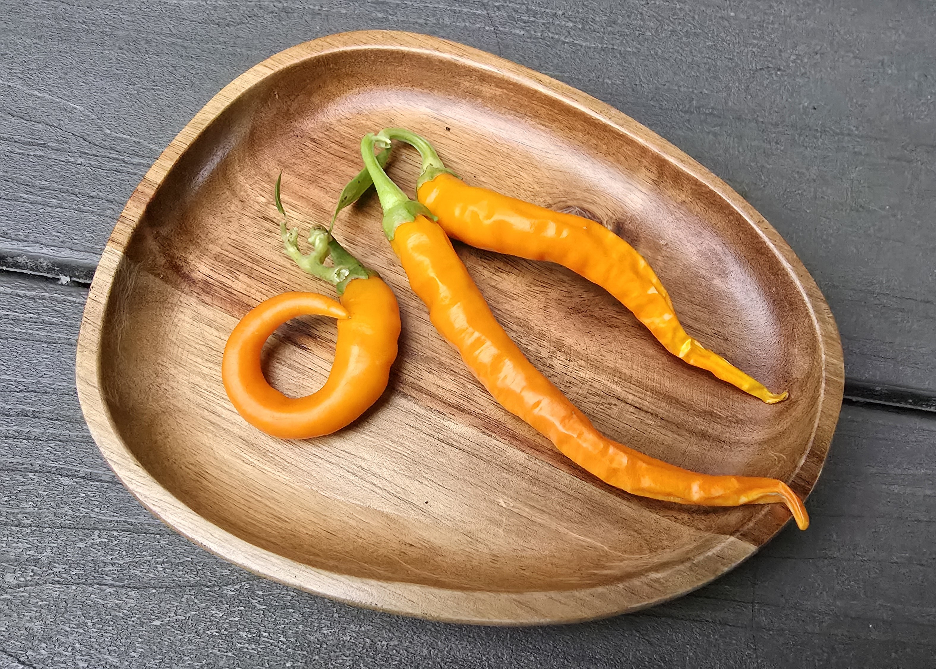 Hangjiao #3 Solar Flare