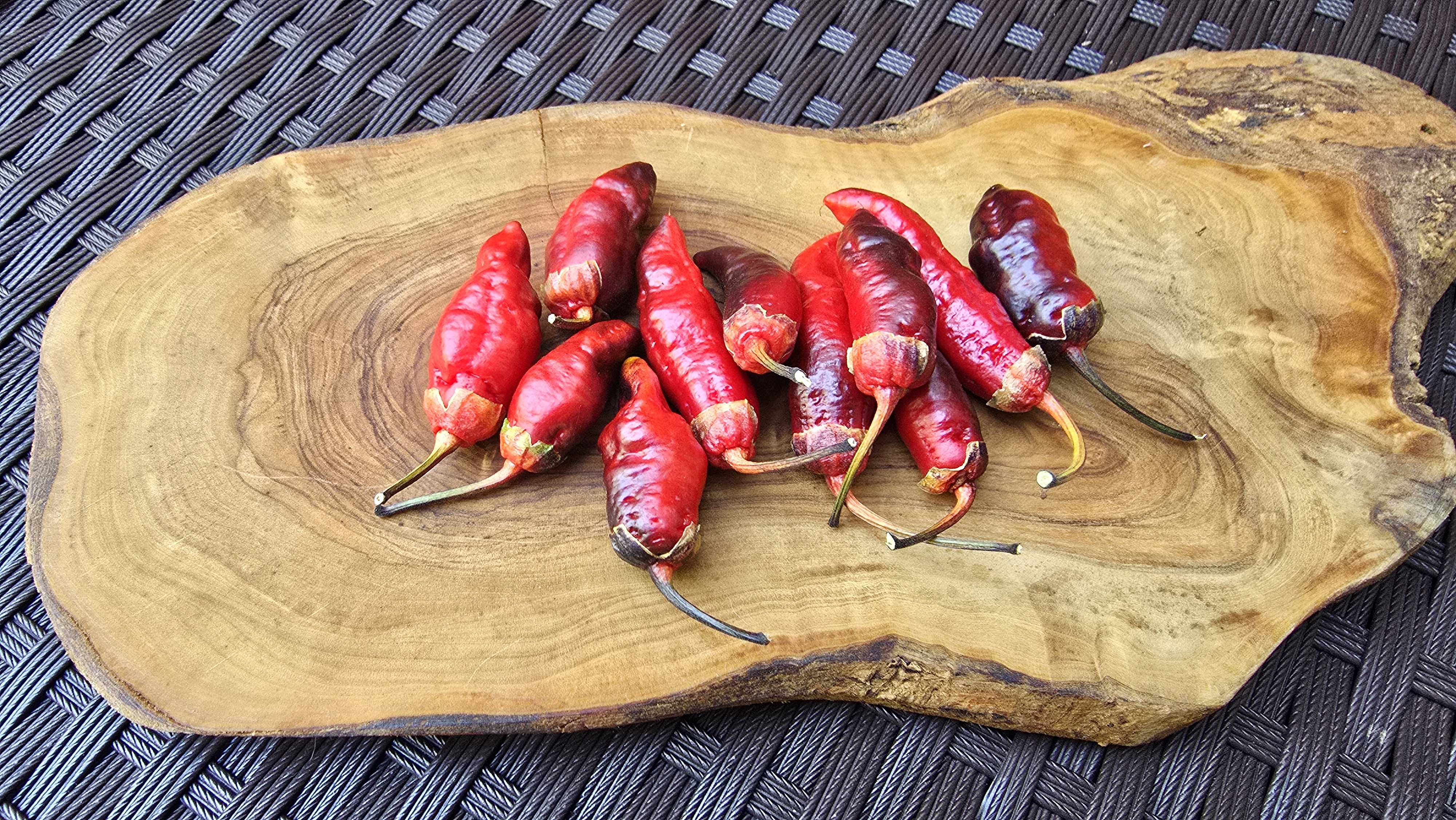 Sepia Reaper x Pink Tiger F4