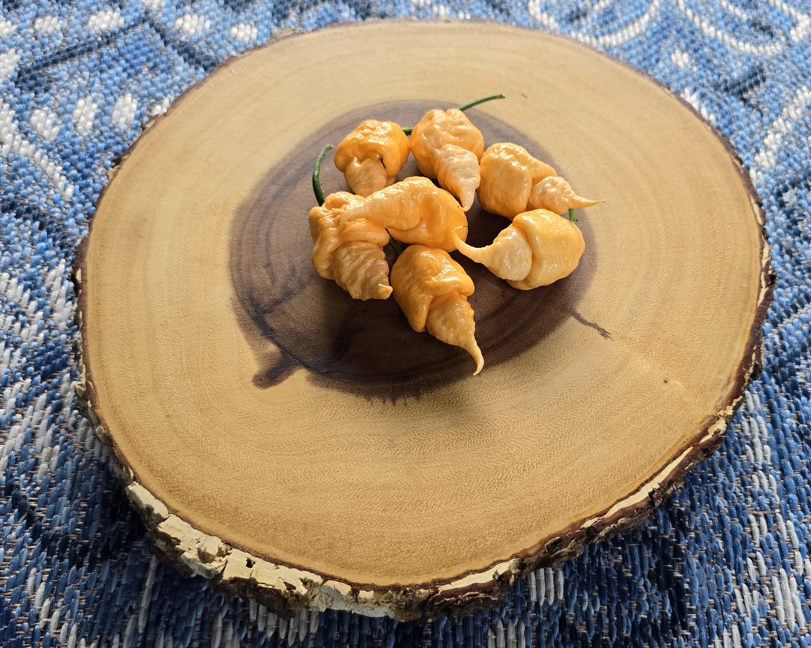 Tiberius Mauler Peach