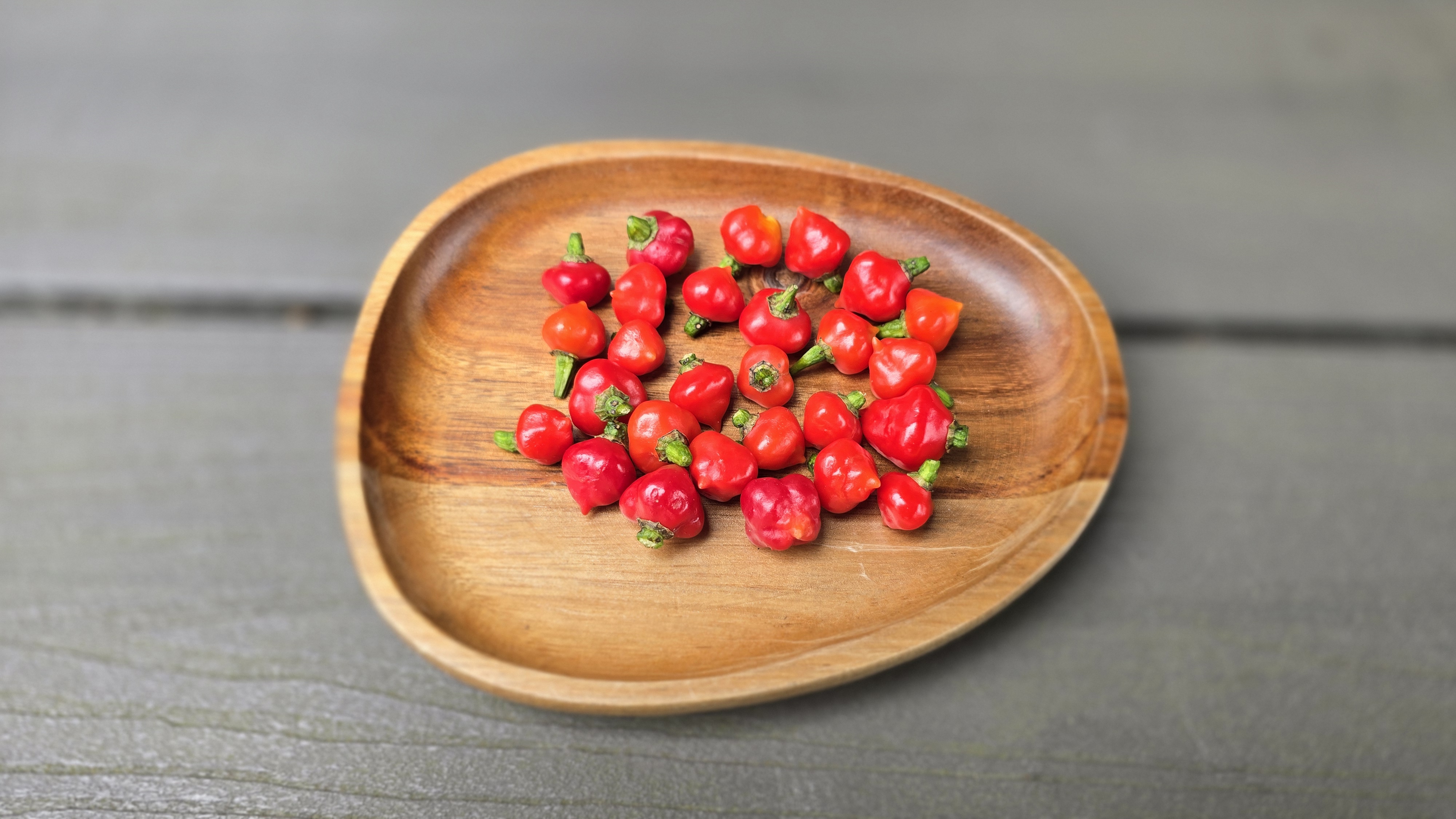 Black Peach Chupetinho x Ninfadora Red F5