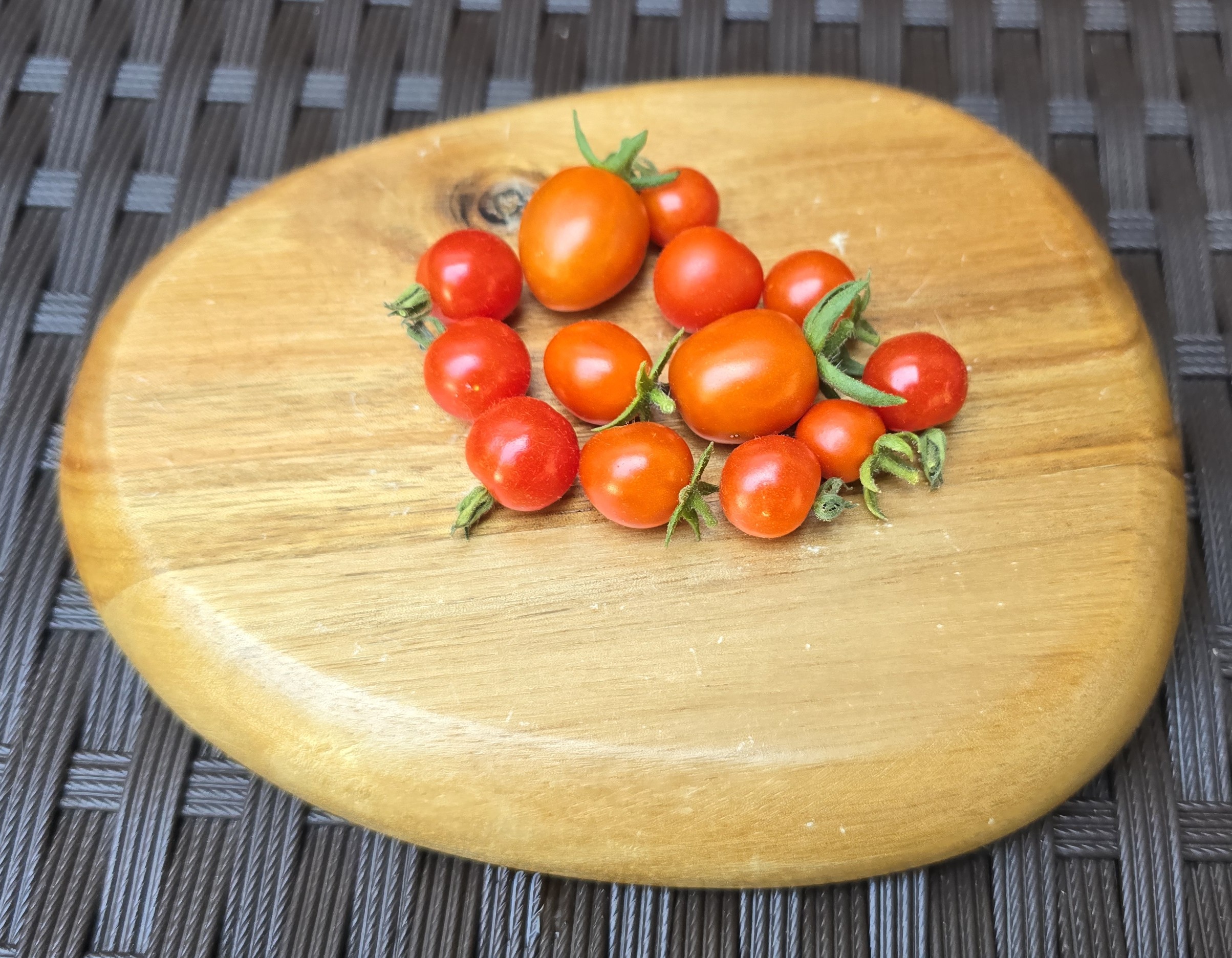 Mexico Midget (MX Midget)