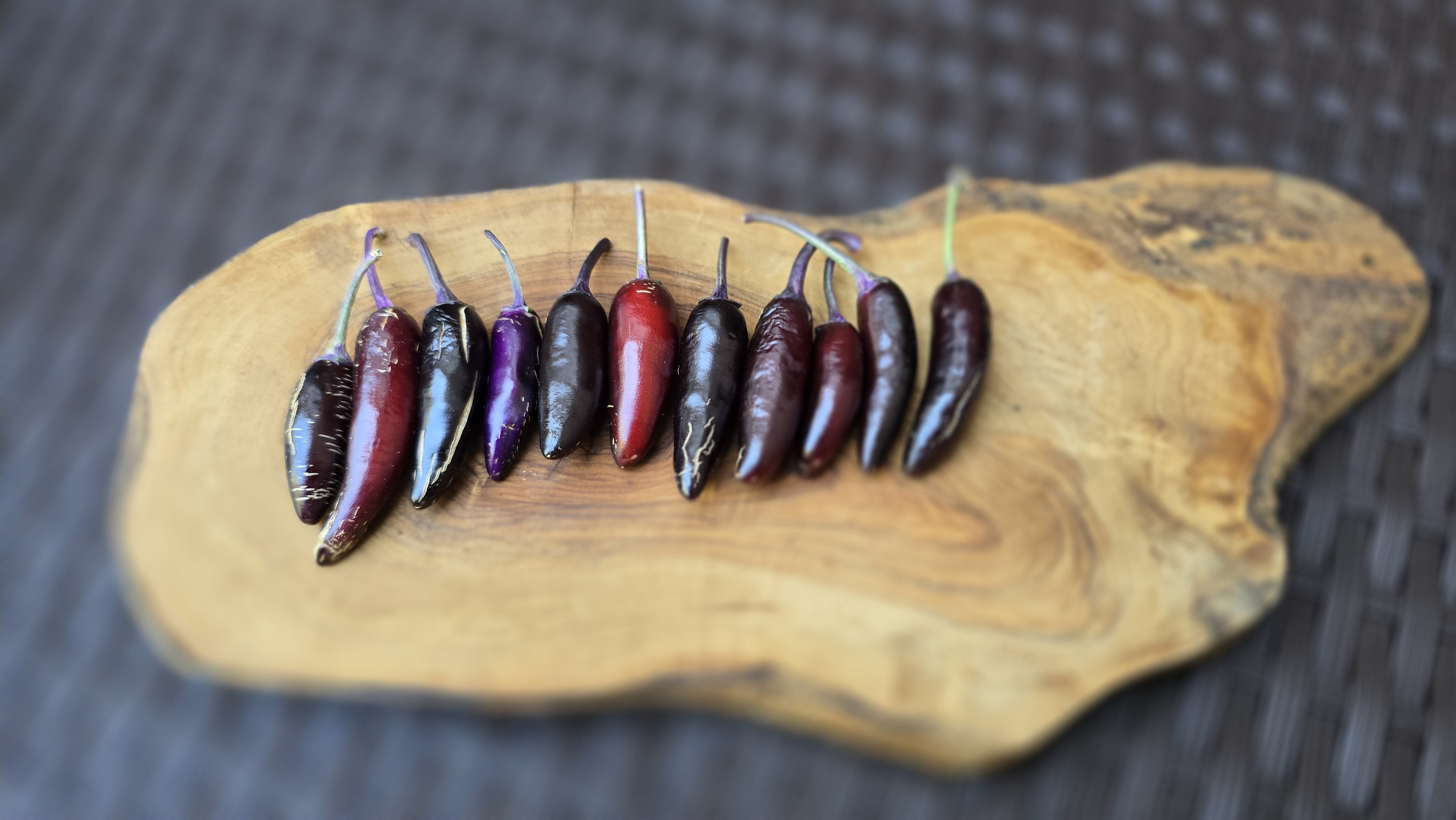 Dreamcatcher x Jalapeno Farmer's Market Potatoes