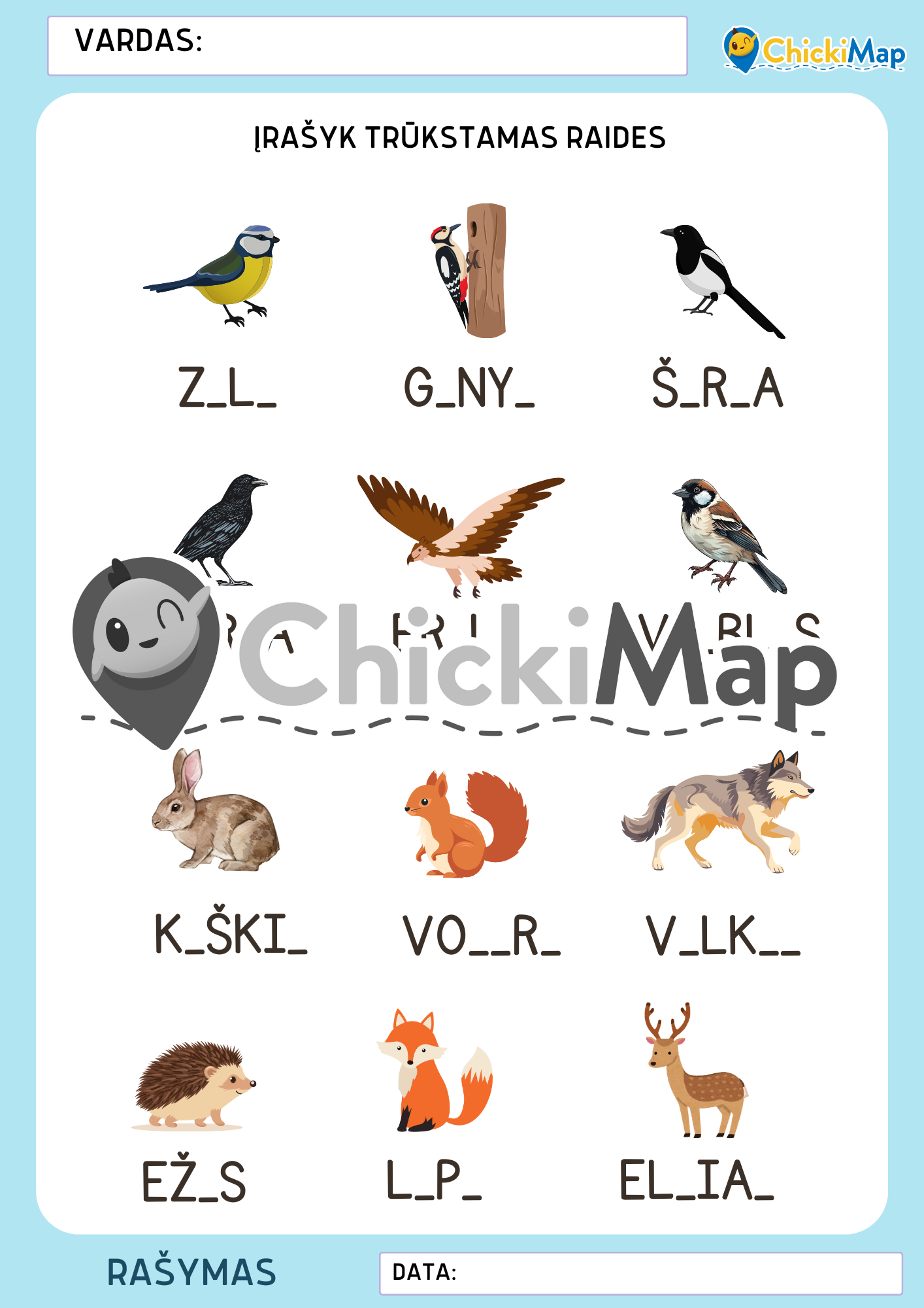 Čikių žiemos užduotys