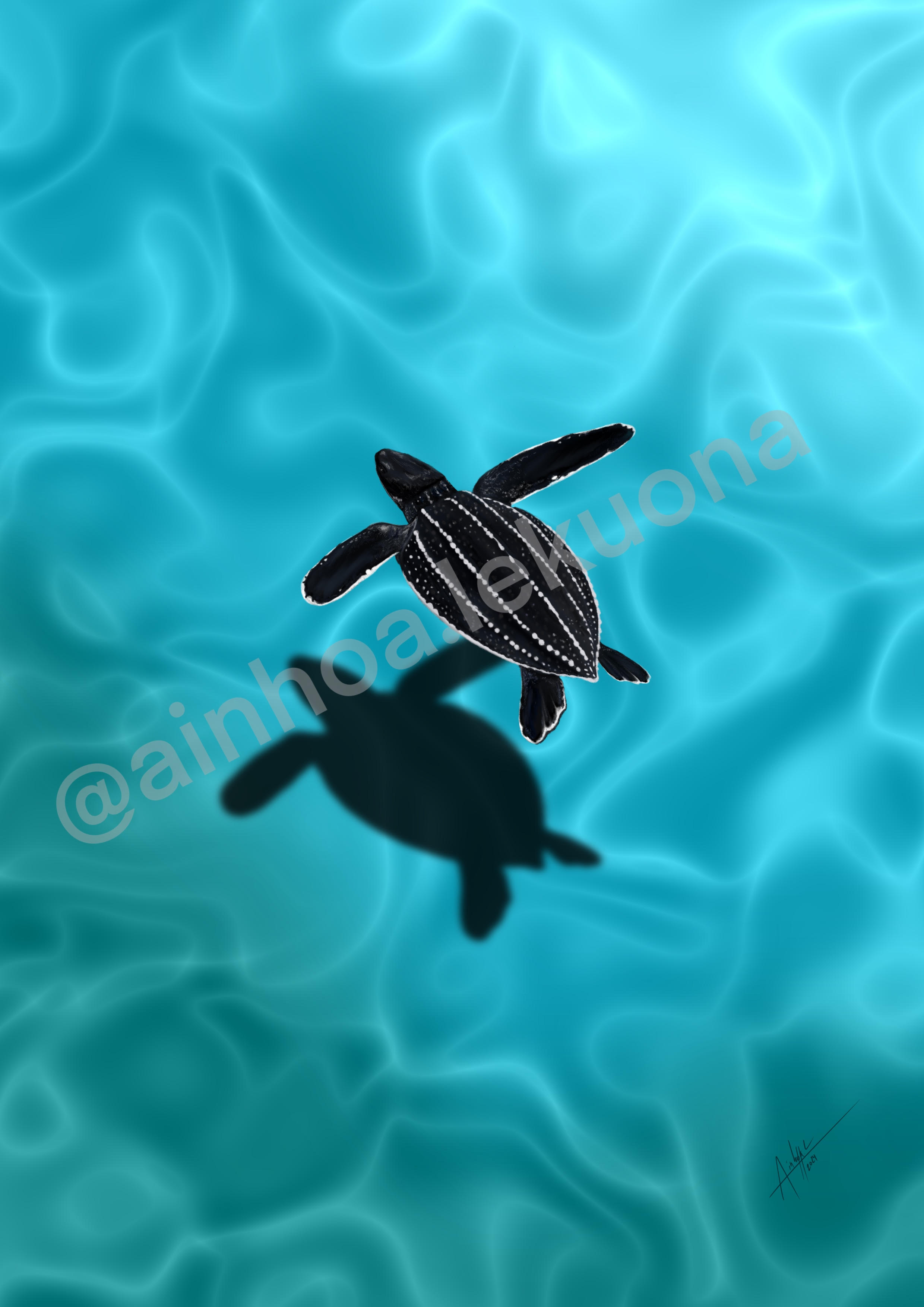 TORTUGA LAÚD