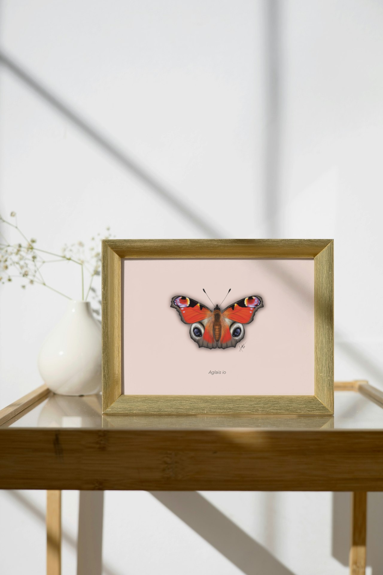 MARIPOSA PAVO REAL