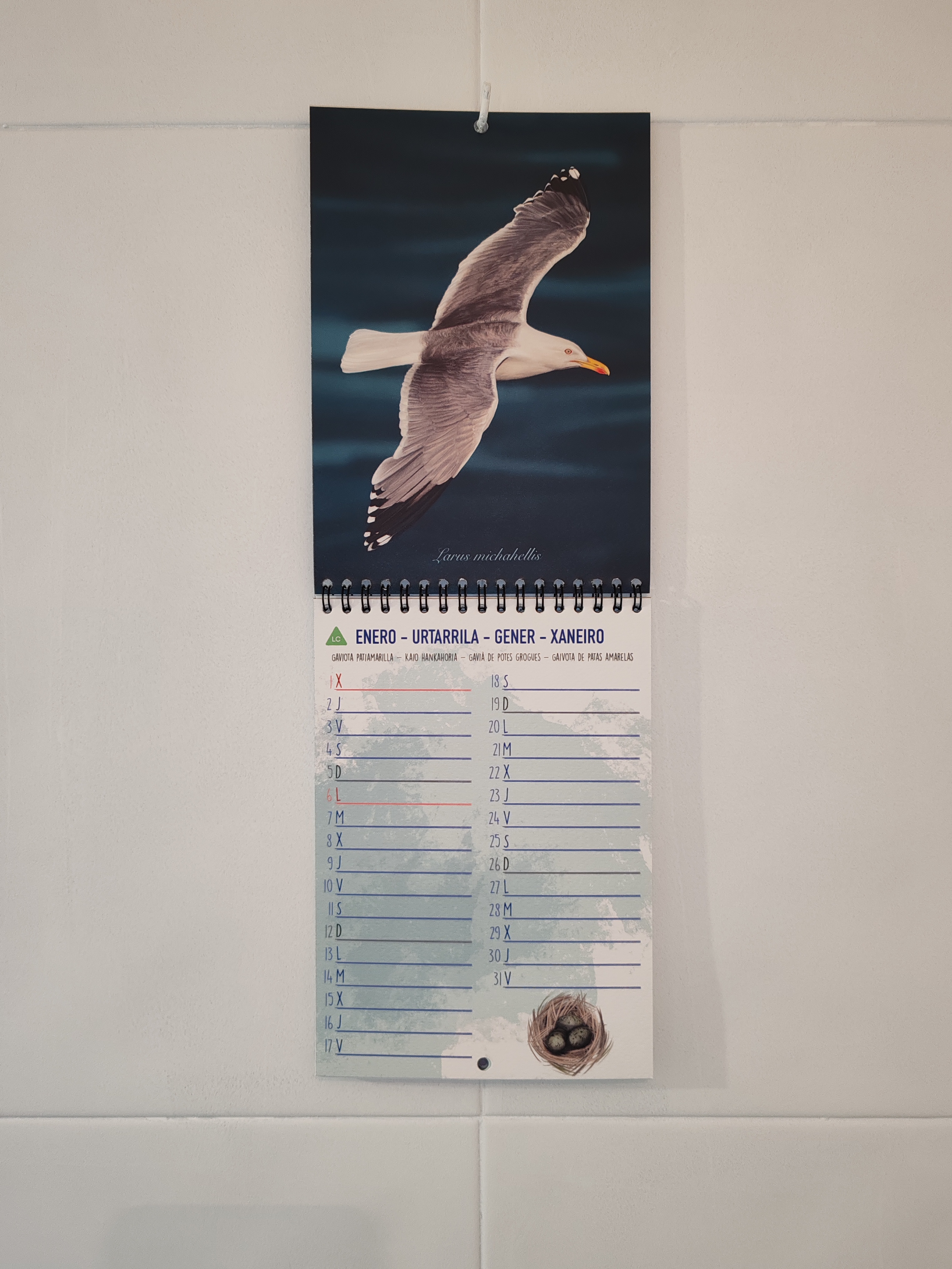 El Calendario de Aves Marinas 2025